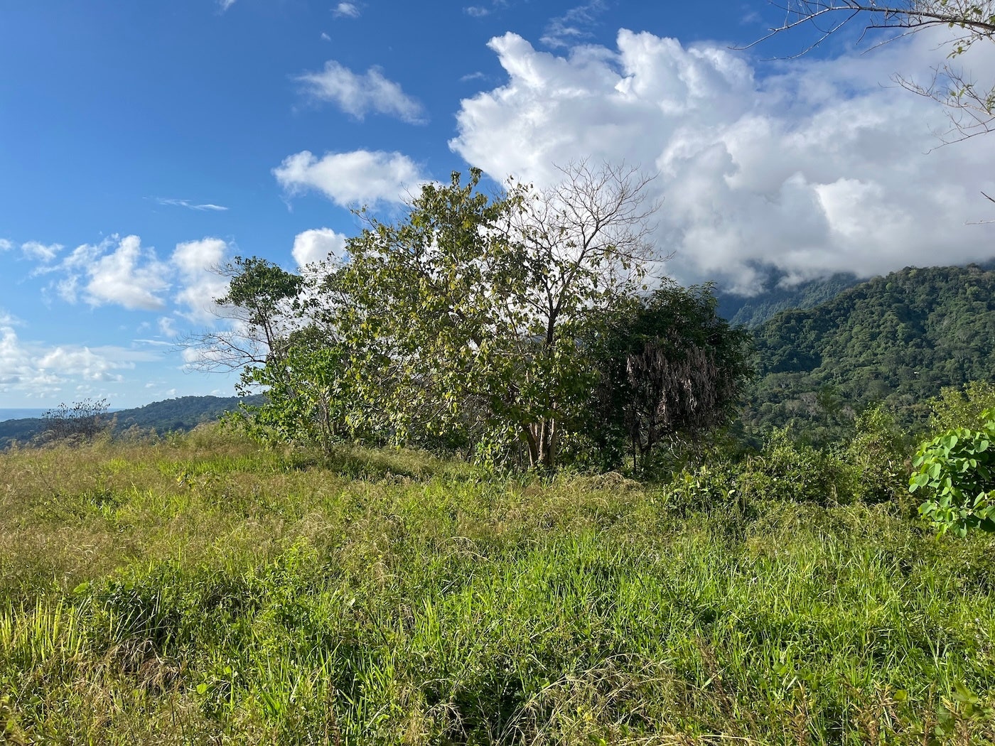 Flat Ocean View Lot — photo 12 of 12