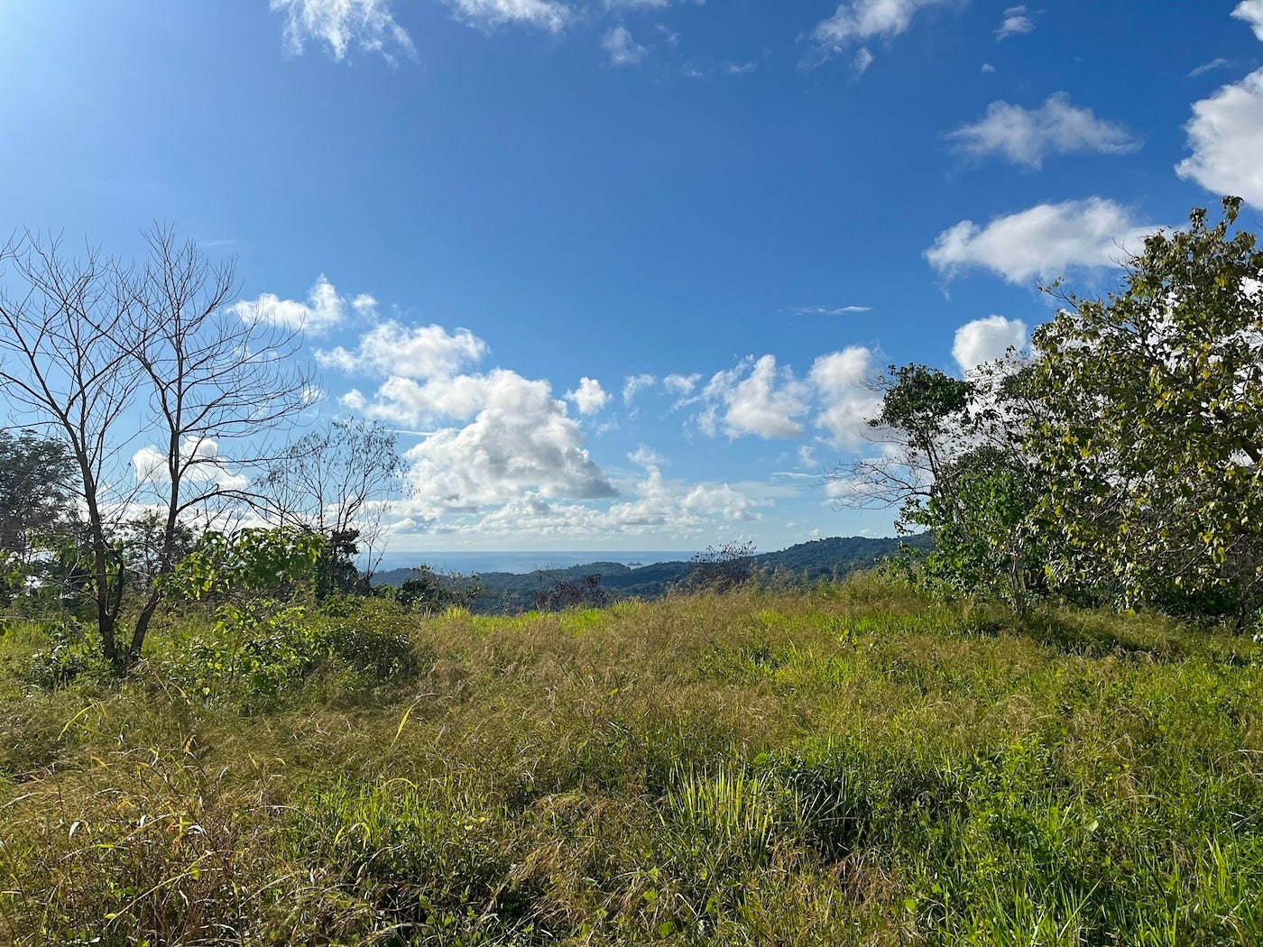 Flat Ocean View Lot, Phase 9, Ojochal, Puerto Cortes, Osa, Puntarenas, Costa Rica 60501