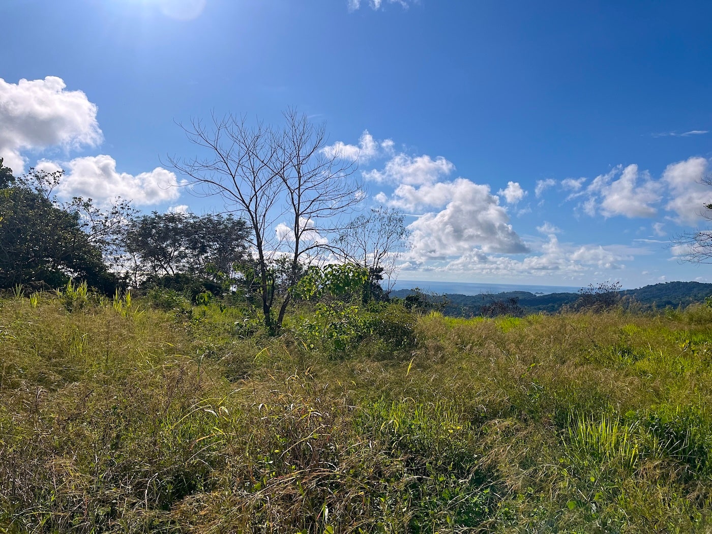 Flat Ocean View Lot — photo 10 of 12