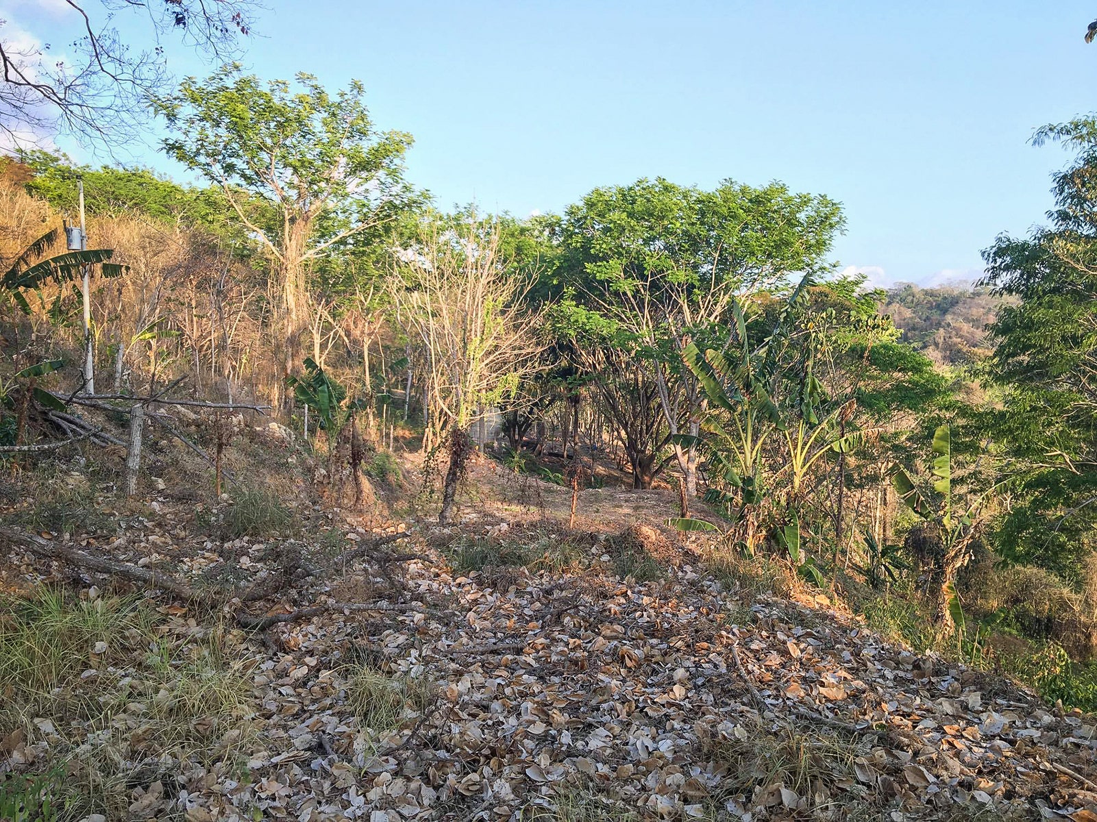 Santiago Jungle View Lot — photo 4 of 7