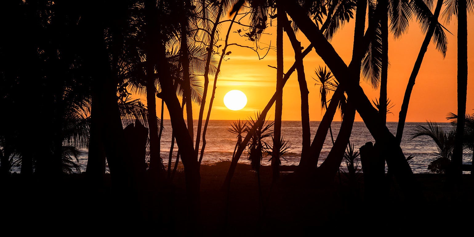 Prime Mal Pais Beachfront Estate — photo 18 of 19