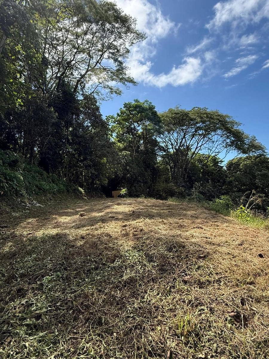 Dominical Sunset Ocean View parcel in Premier neighborhood with ASADA water — photo 4 of 15