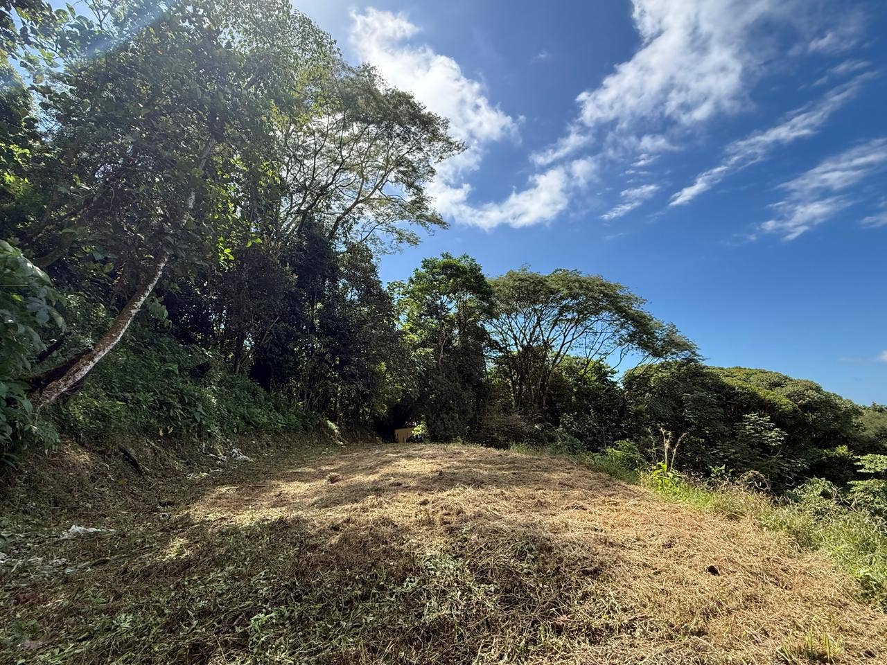 Dominical Sunset Ocean View parcel in Premier neighborhood with ASADA water — photo 5 of 15