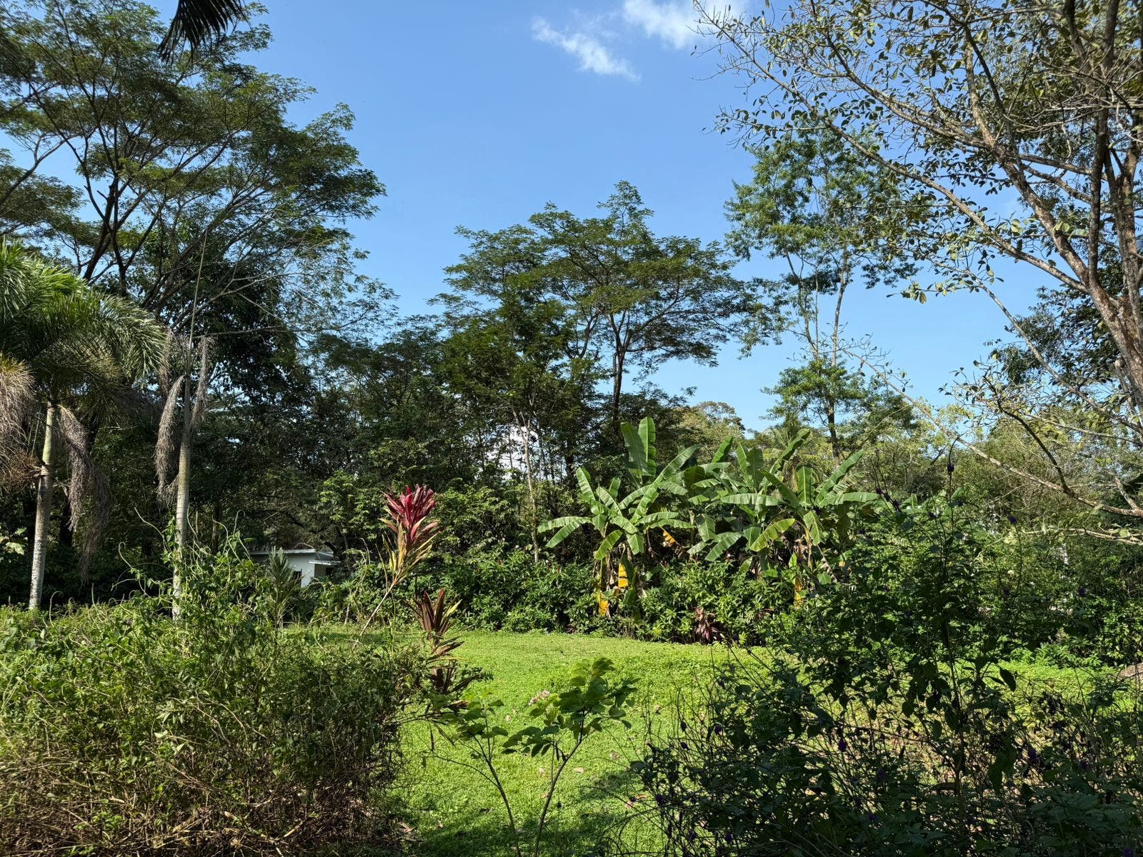 A-Frame Near the Beach — photo 11 of 13