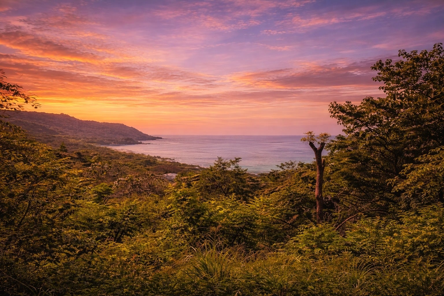Ocean View Lot — photo 4 of 12