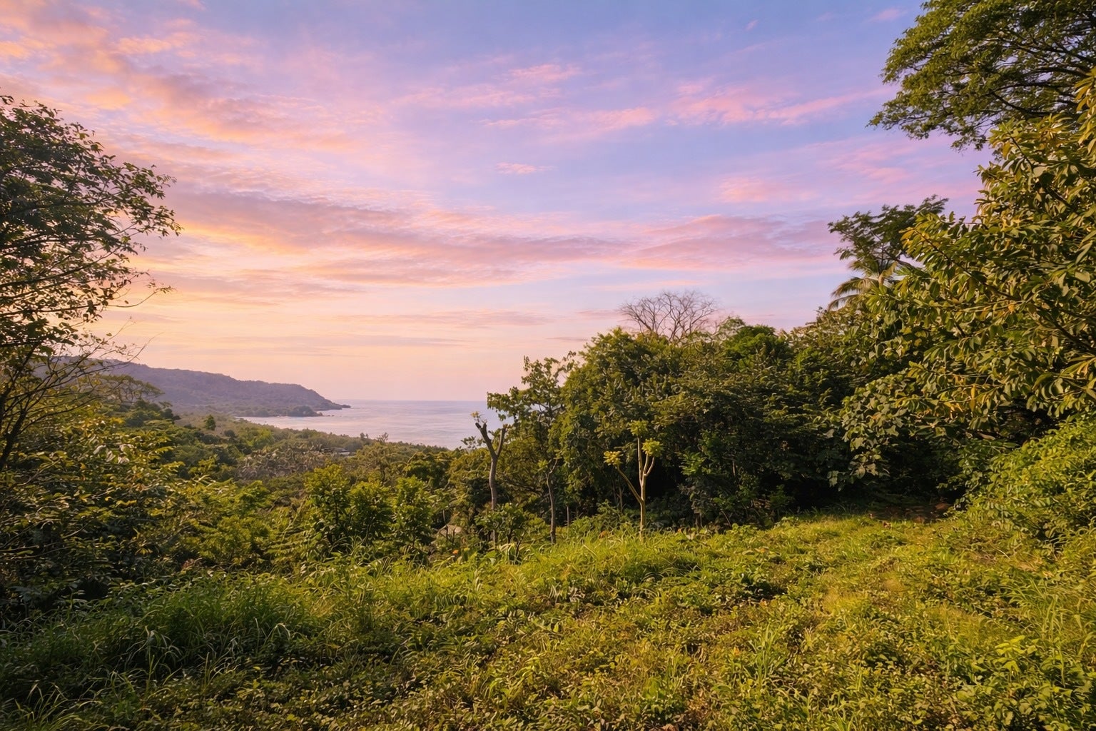 Ocean View Lot — photo 5 of 12