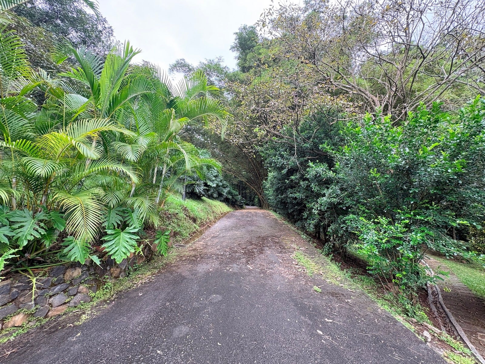 Private Estate Surrounded By Nature — photo 18 of 19