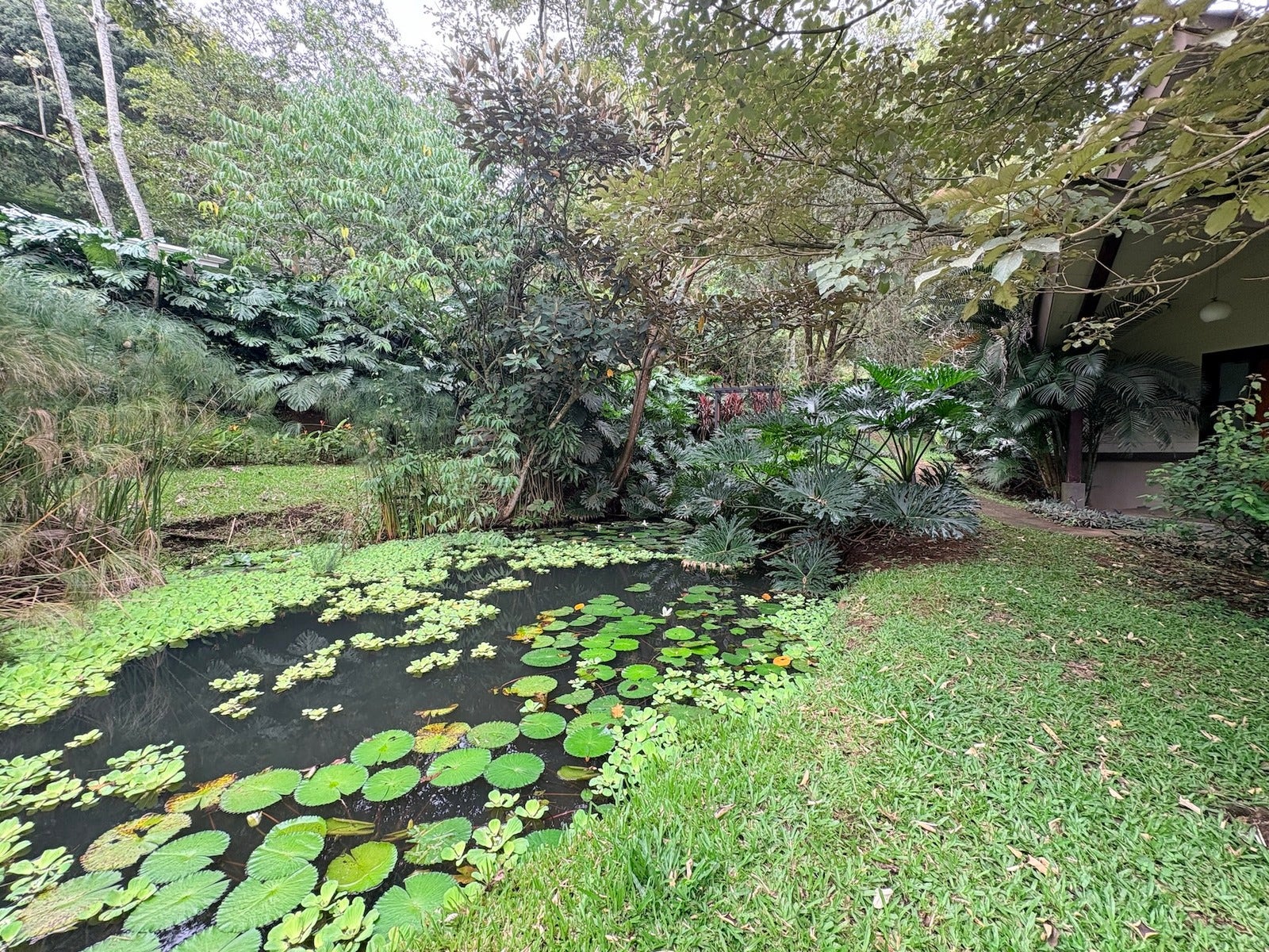 Private Estate Surrounded By Nature — photo 19 of 19