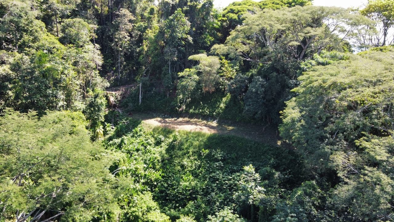 Dominical Sunset Ocean View parcel in Premier neighborhood with ASADA water — photo 11 of 15