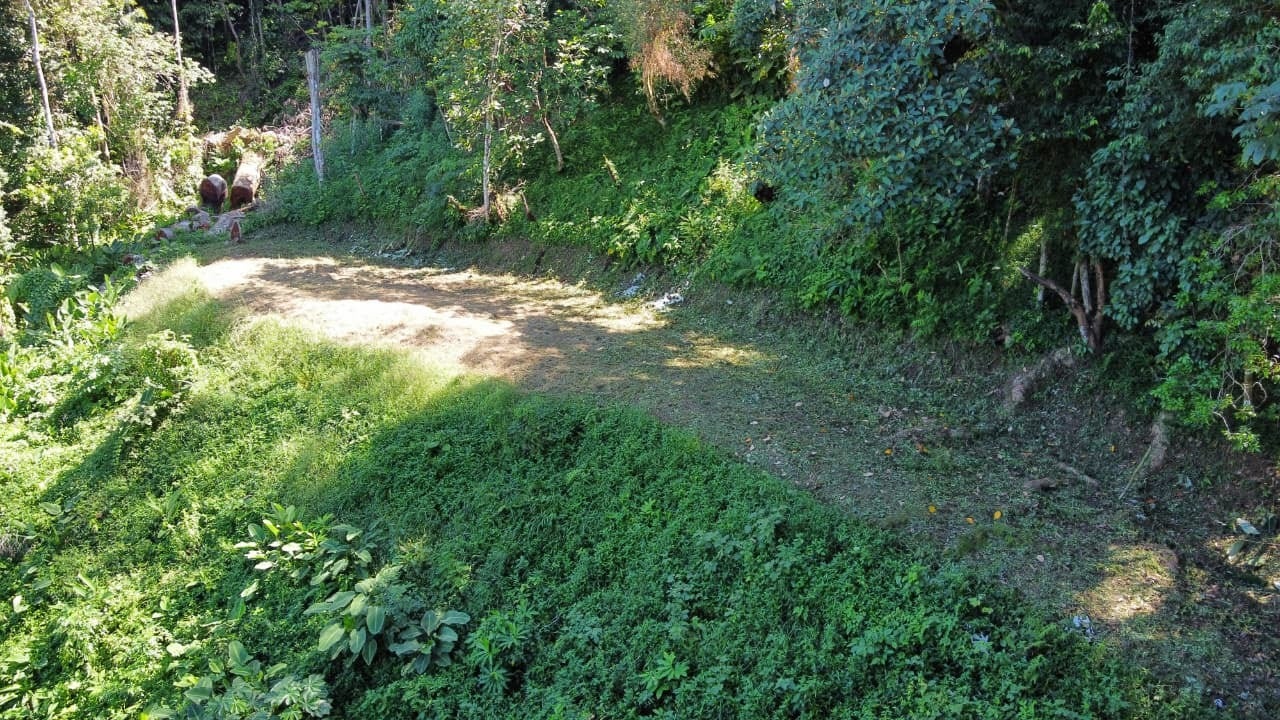 Dominical Sunset Ocean View parcel in Premier neighborhood with ASADA water — photo 13 of 15
