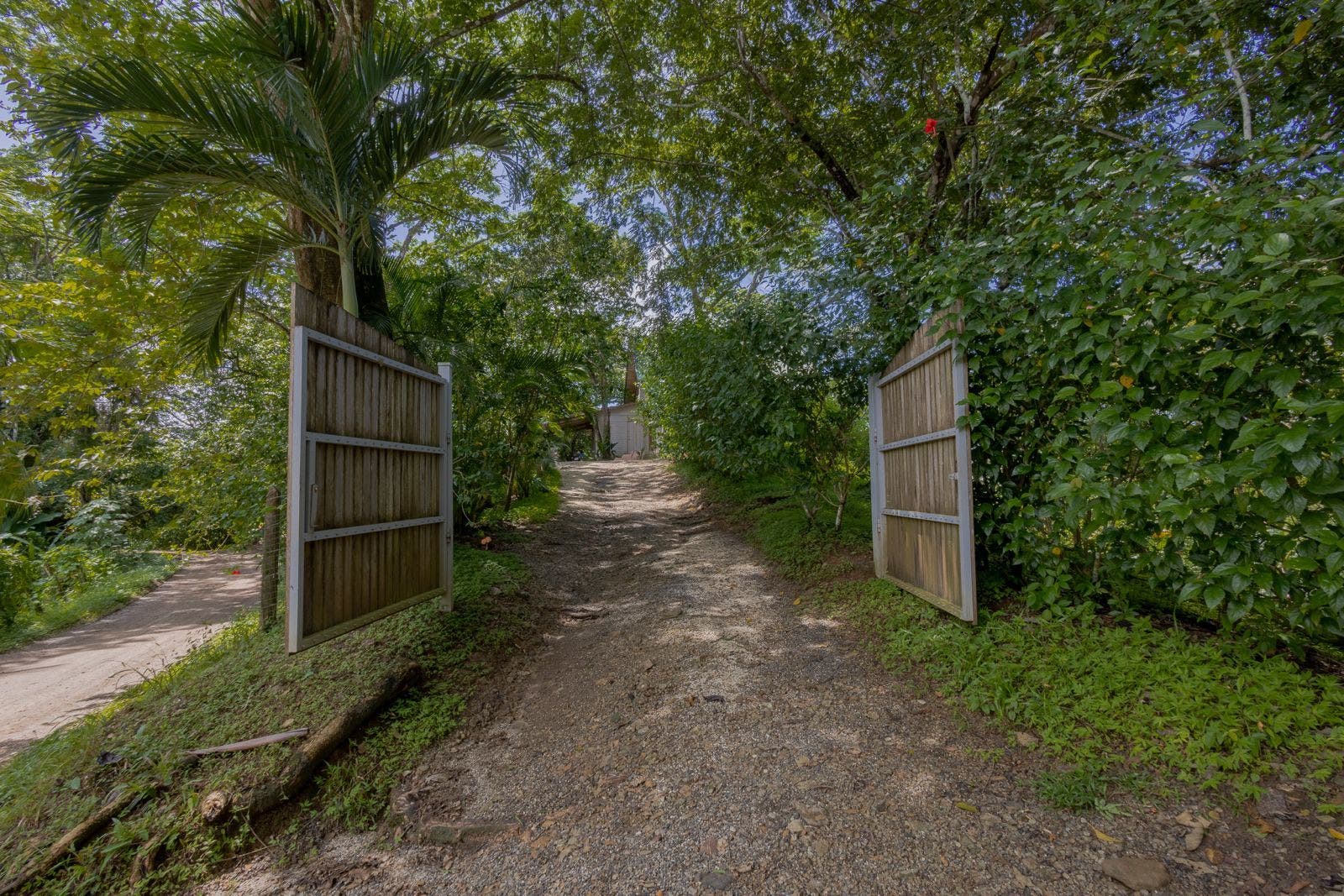 Family Home Surrounded by Nature — foto 4 de 19