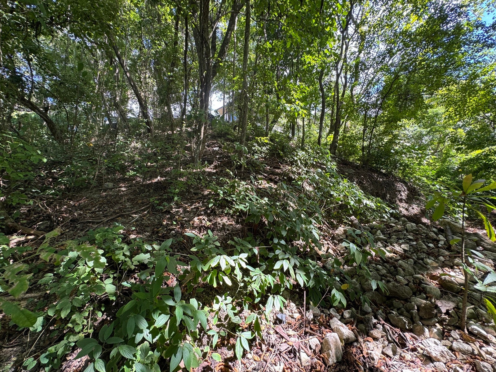 Commercial Ocean View Lot North Santa Teresa — photo 3 of 10