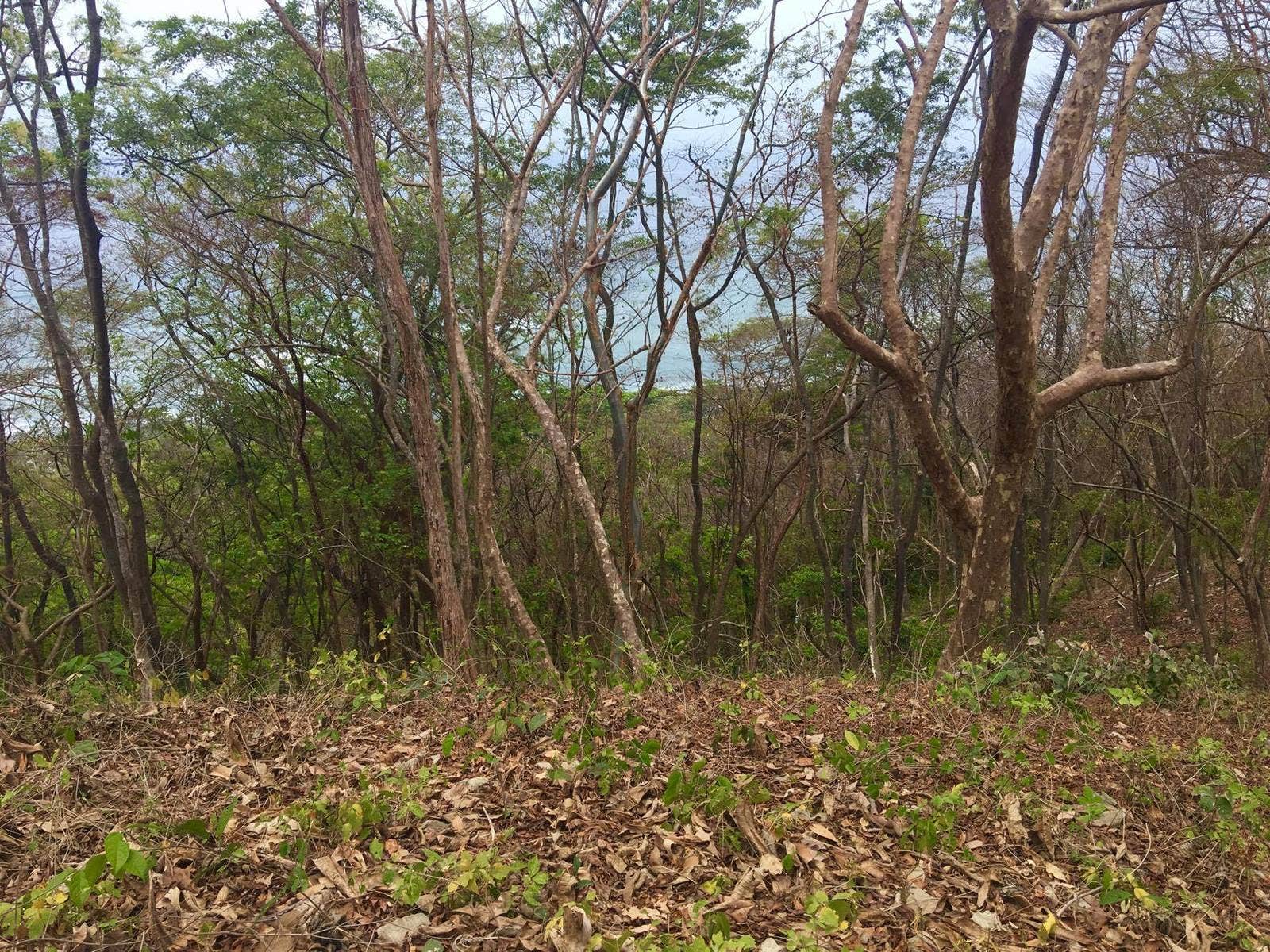 Commercial Ocean View Lot North Santa Teresa — photo 8 of 10