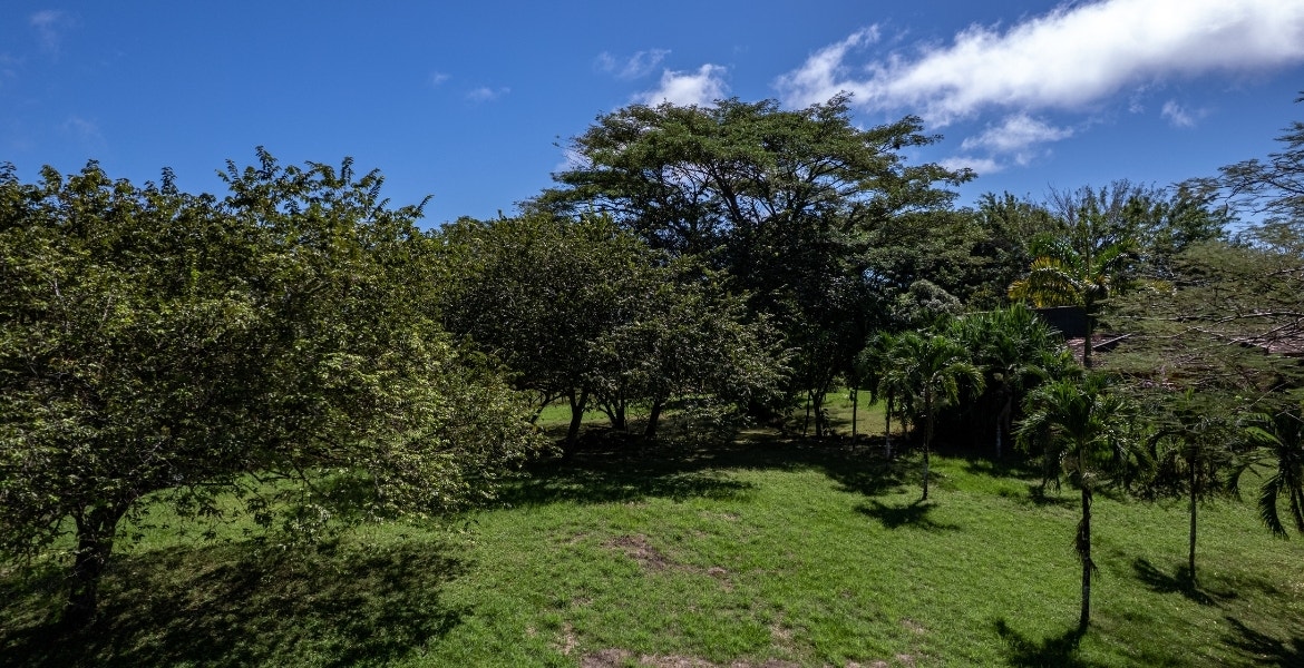 Three Acres Family Estate — photo 2 of 15