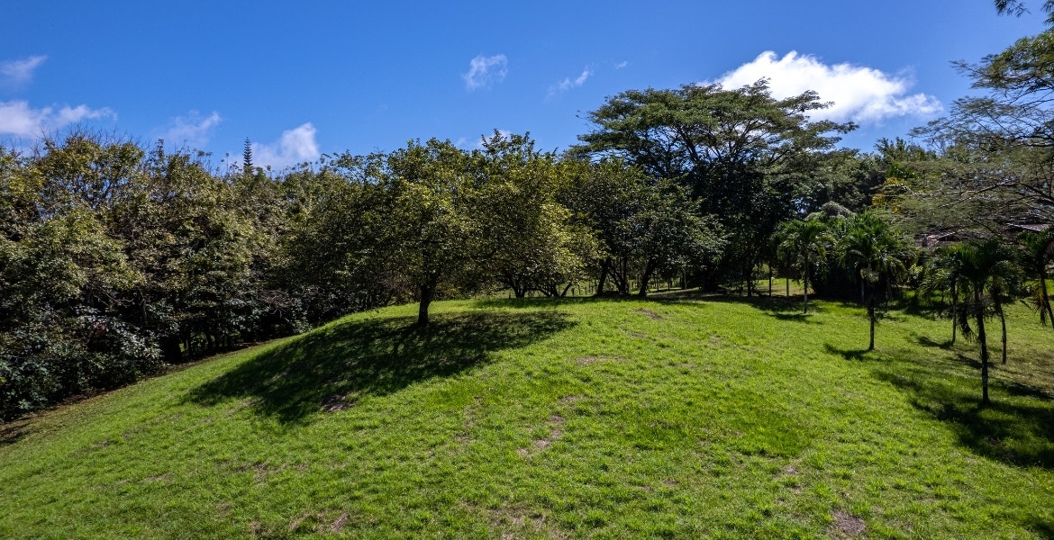 Three Acres Family Estate — photo 5 of 15