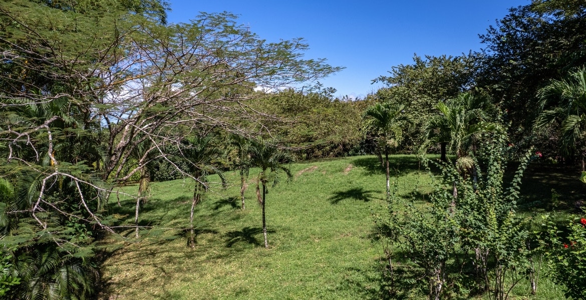 Three Acres Family Estate — photo 6 of 15
