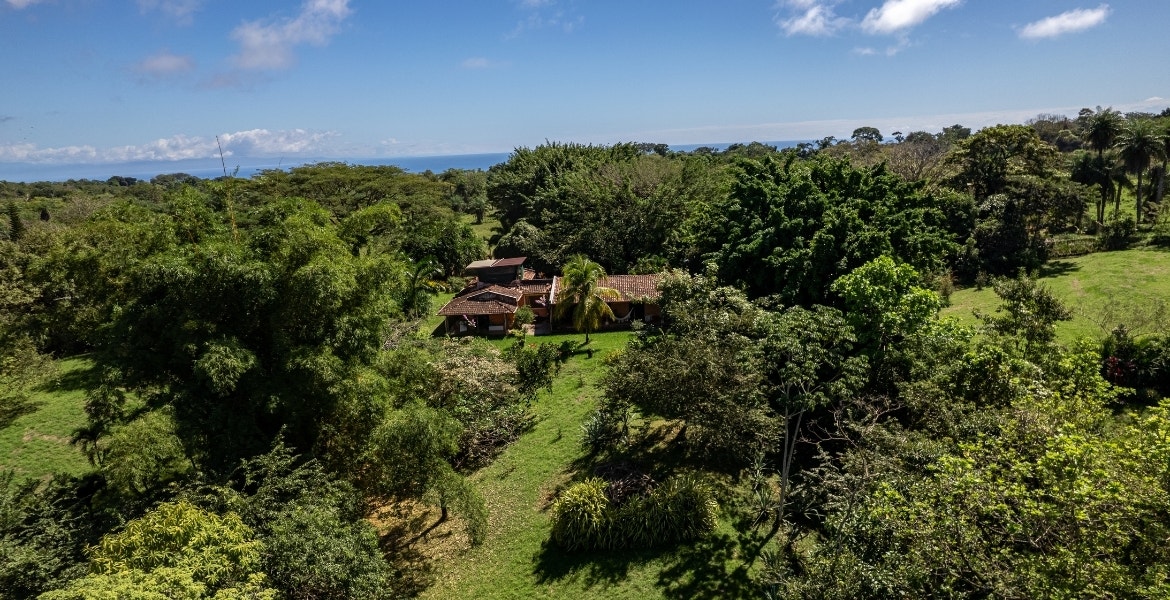 Three Acres Family Estate — photo 8 of 15