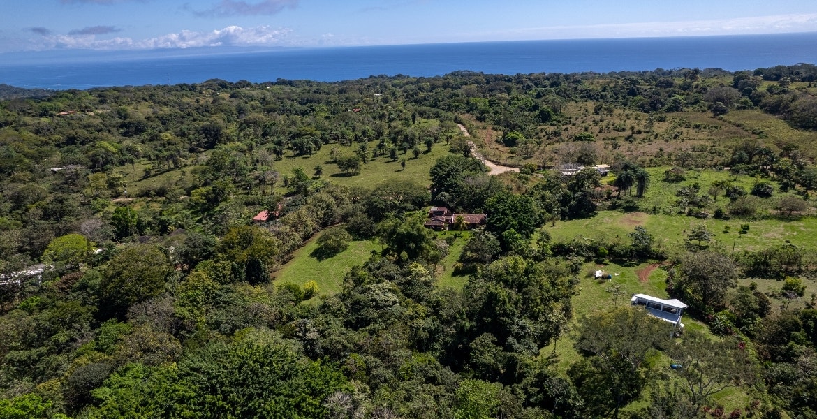 Three Acres Family Estate — photo 9 of 15