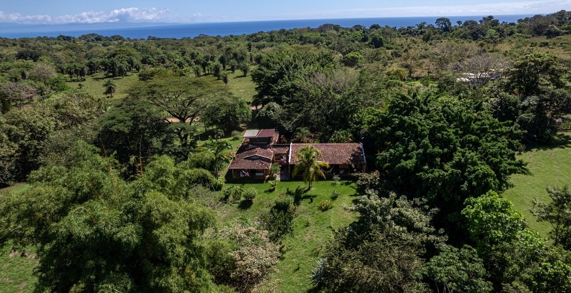 Three Acres Family Estate — photo 15 of 15