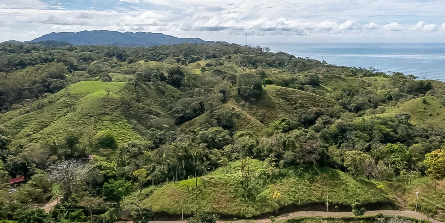 Expansive Lot in San Isidro Gated Community — photo 9 of 9