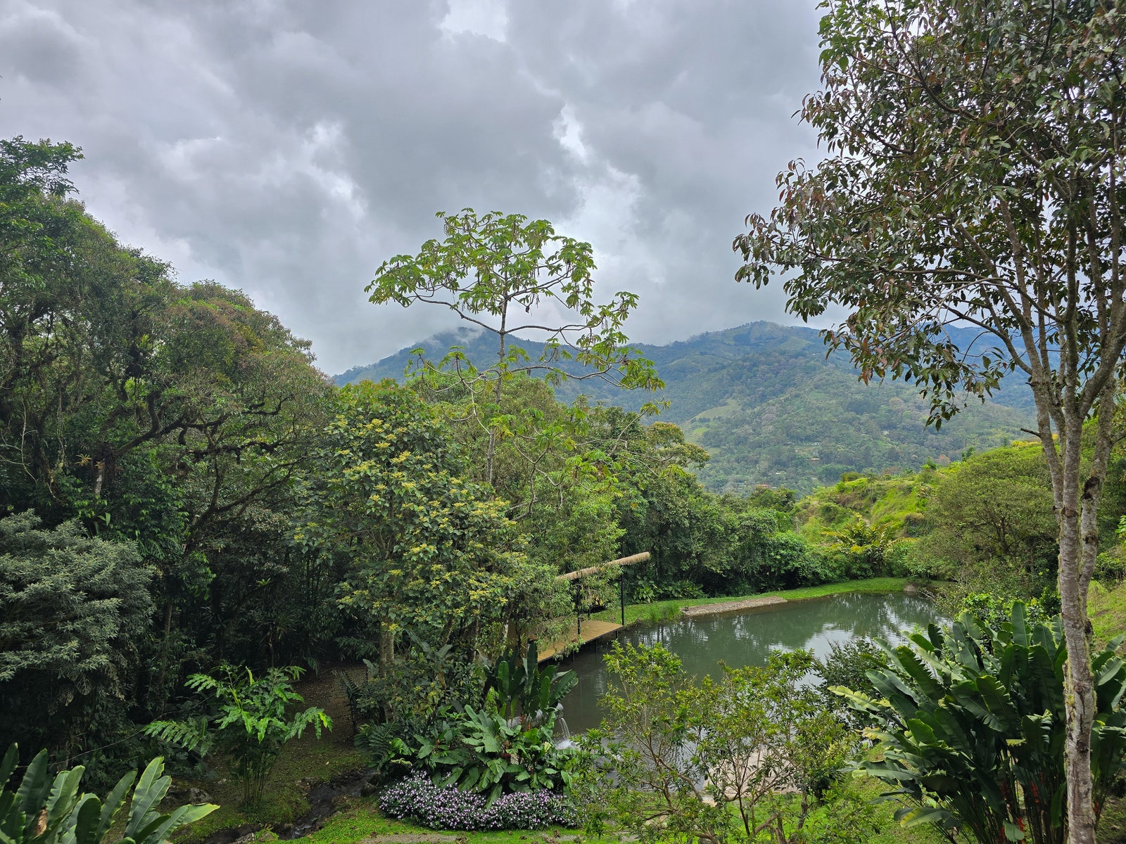 Regenerative Sanctuary — photo 11 of 19