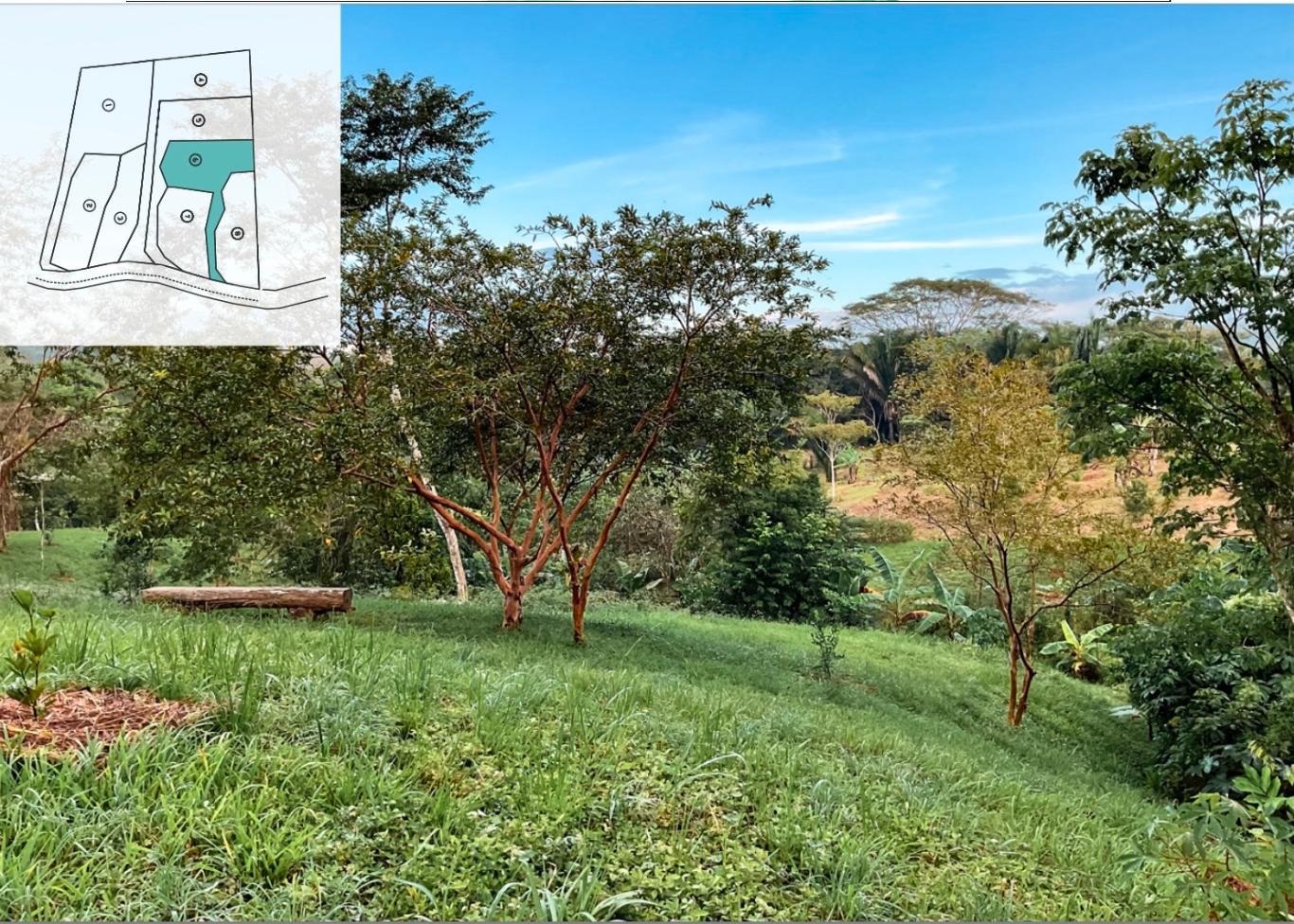Beautiful Lot in La Palmita, Santiago, Santa Teresa, Cobano, Puntarenas, Puntarenas, Costa Rica 60111