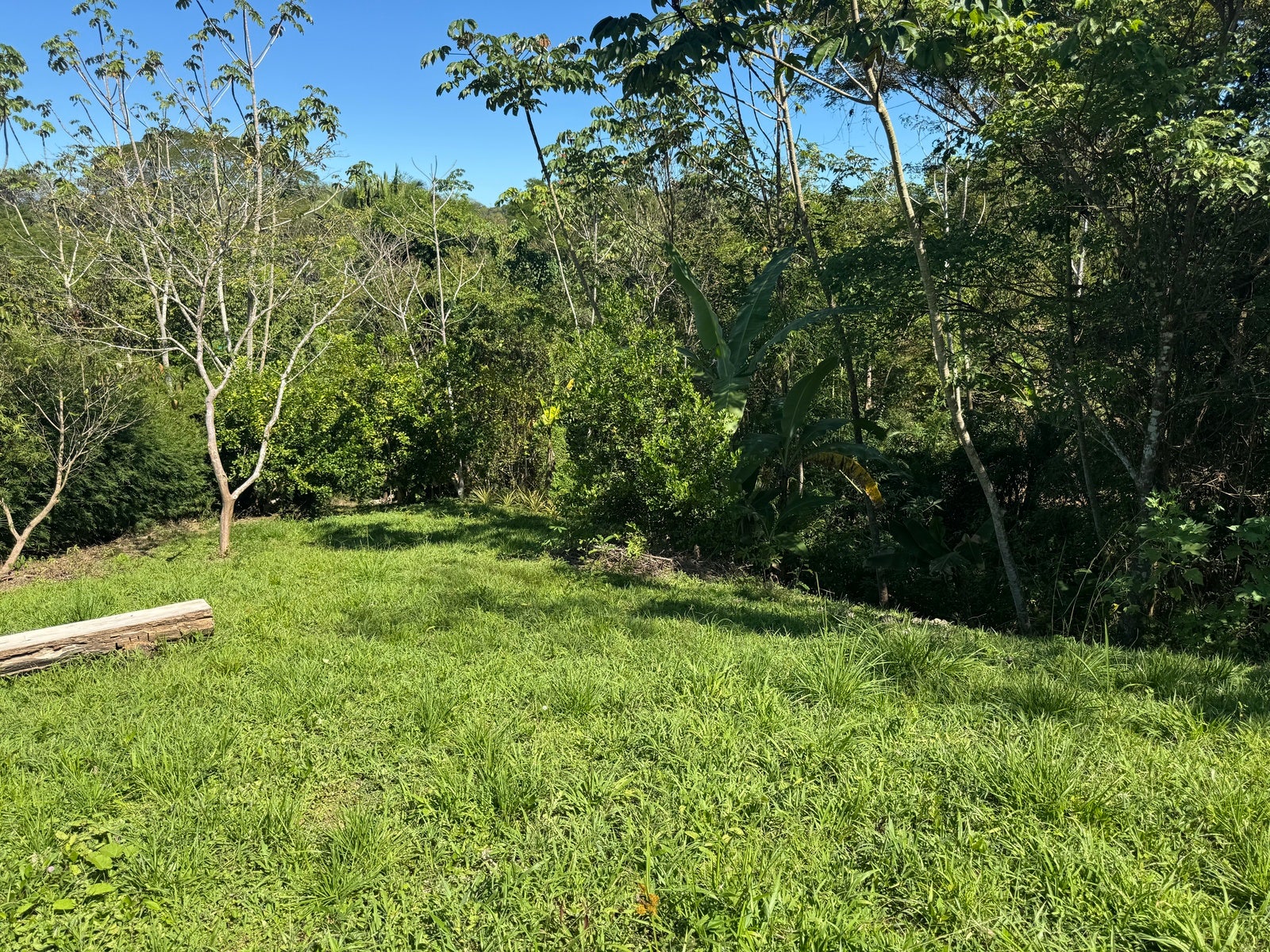 Beautiful Lot in La Palmita — foto 8 de 9