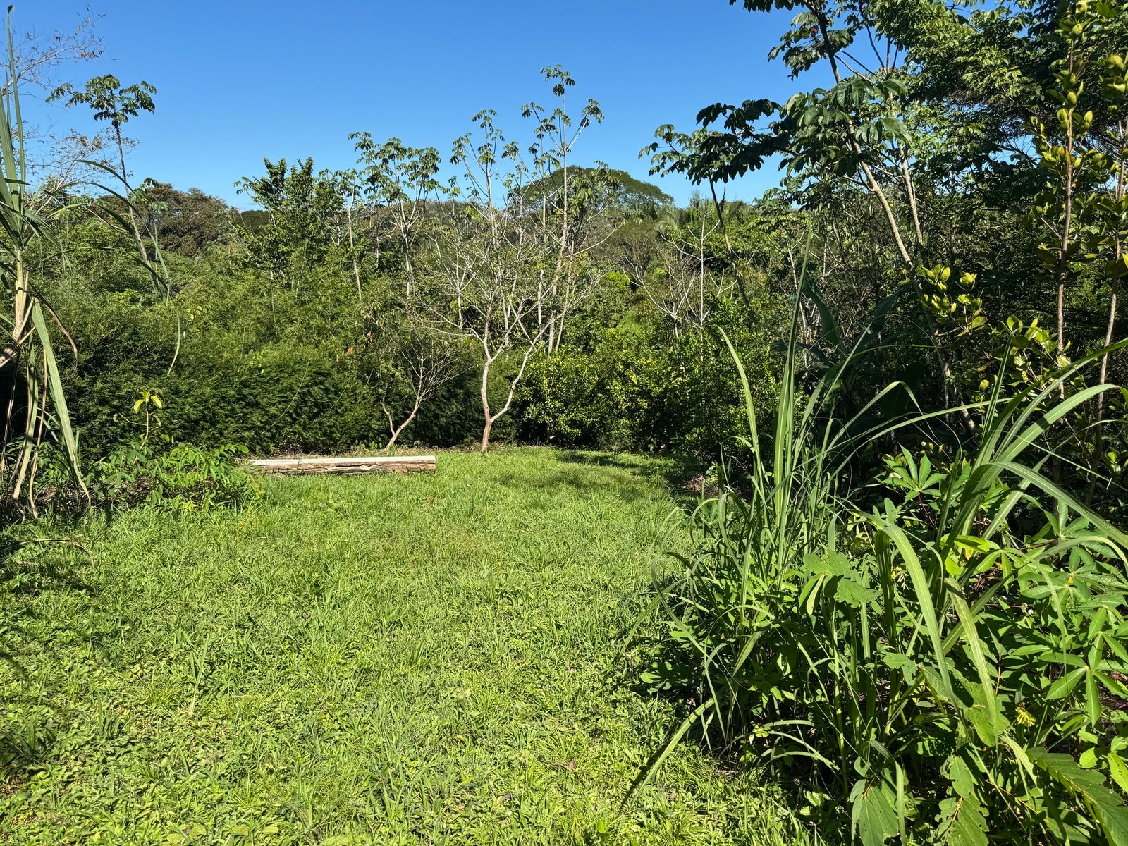Beautiful Lot in La Palmita — foto 9 de 9