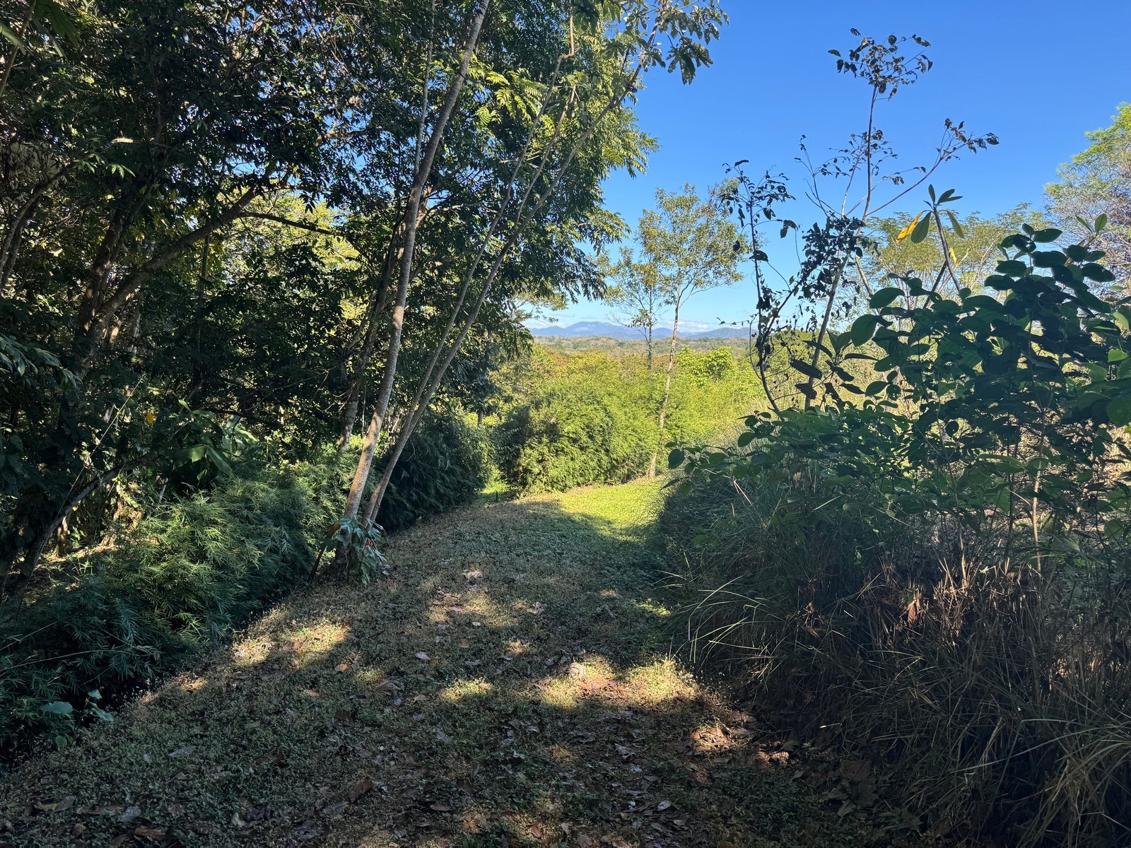 Mountain View Lot in La Palmita, Santiago, Santa Teresa, Cobano, Puntarenas, Puntarenas, Costa Rica 60111
