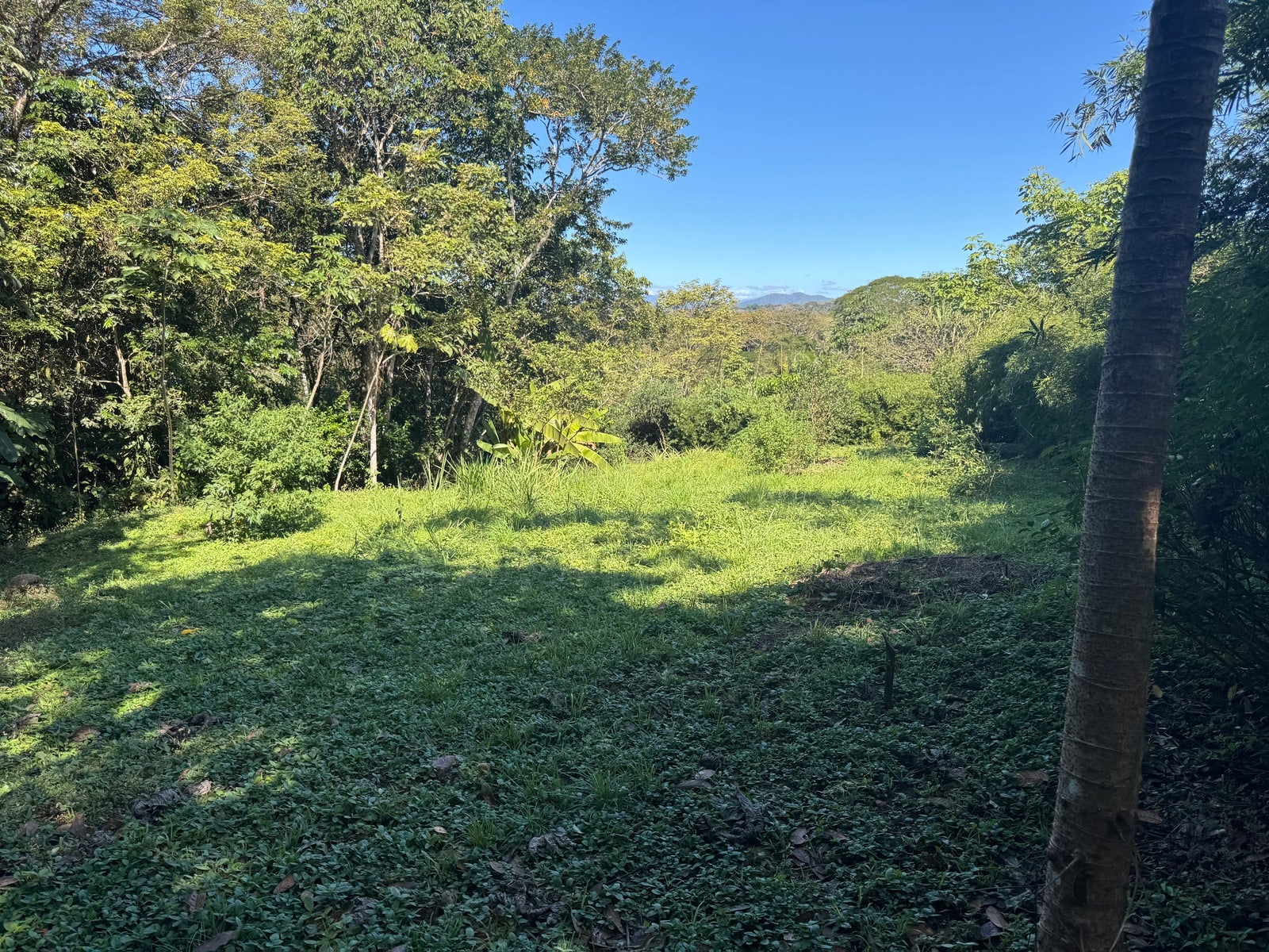 Mountain View Lot in La Palmita — photo 2 of 12