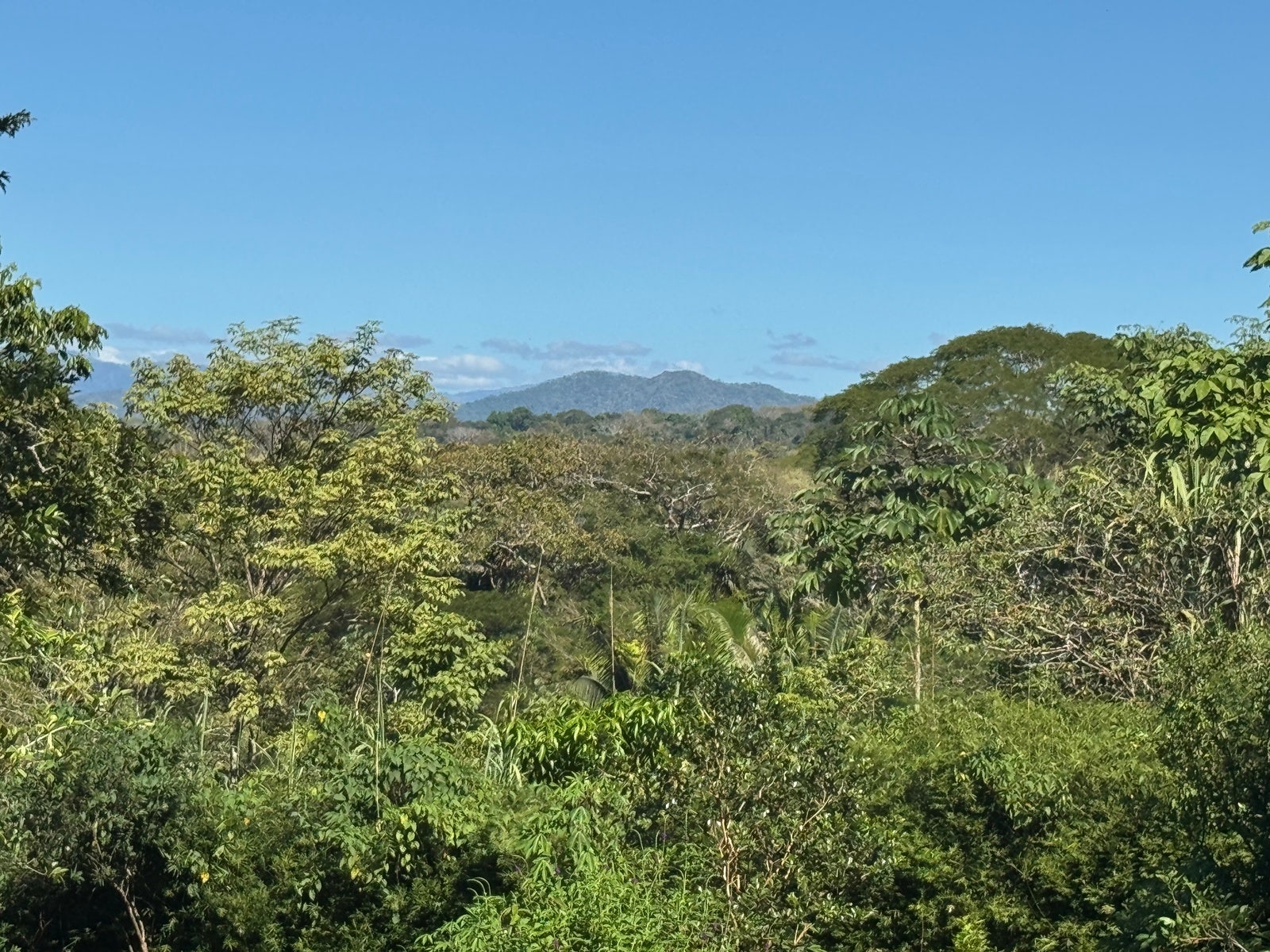 Mountain View Lot in La Palmita — photo 3 of 12