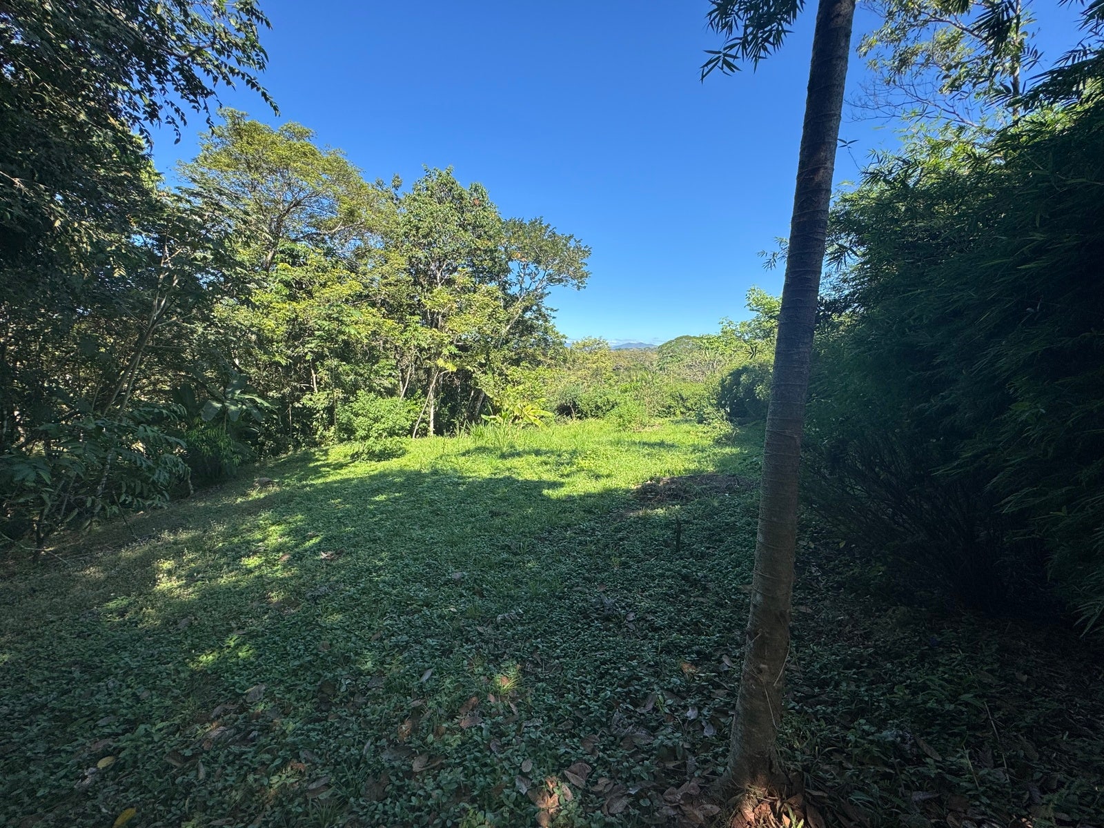 Mountain View Lot in La Palmita — photo 4 of 12