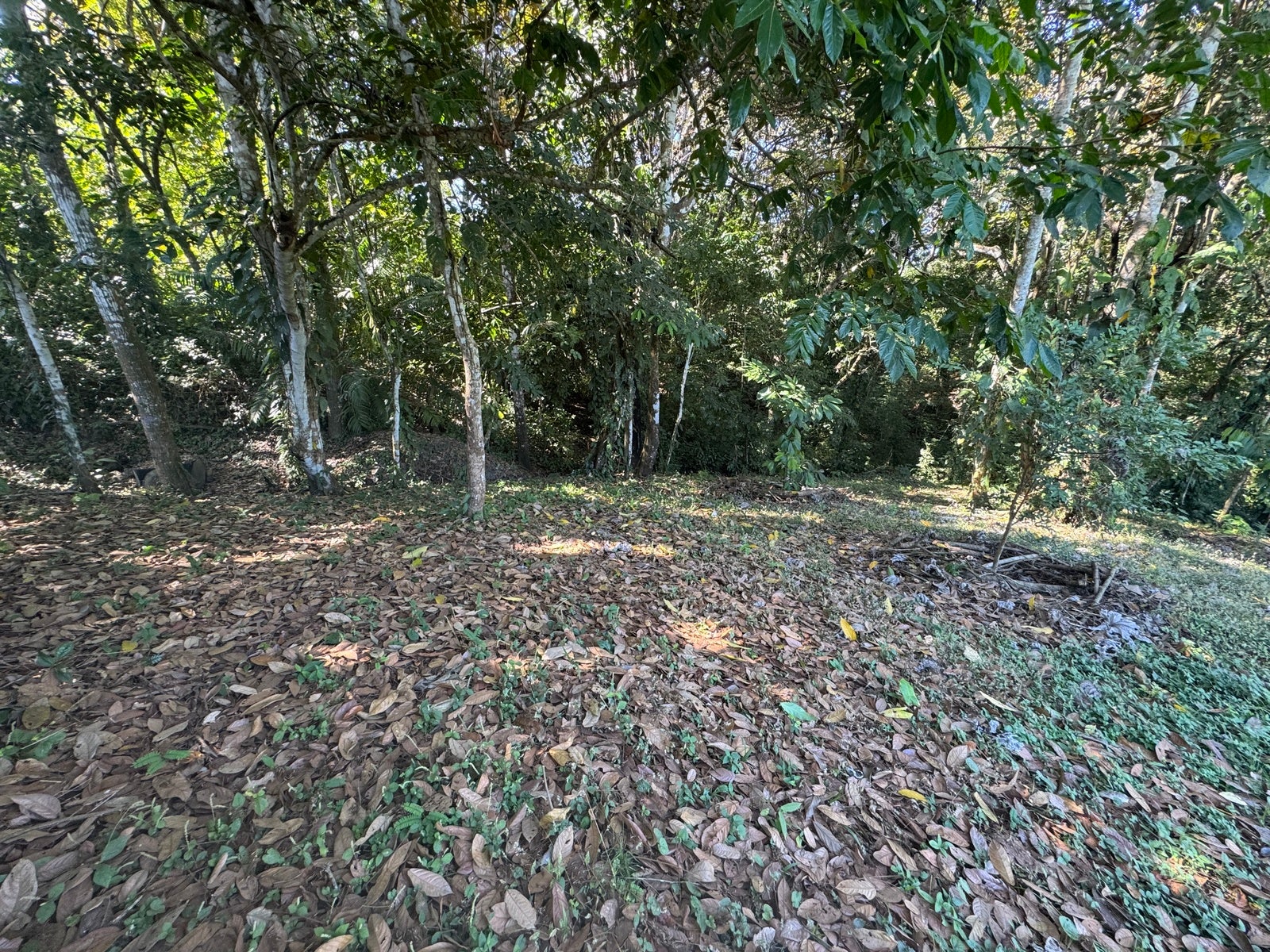 Mountain View Lot in La Palmita — photo 5 of 12