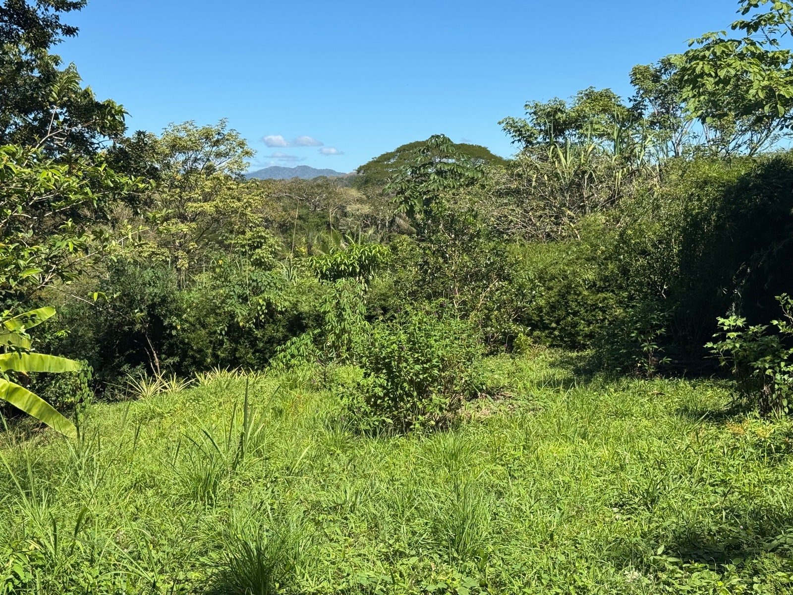 Mountain View Lot in La Palmita — photo 6 of 12