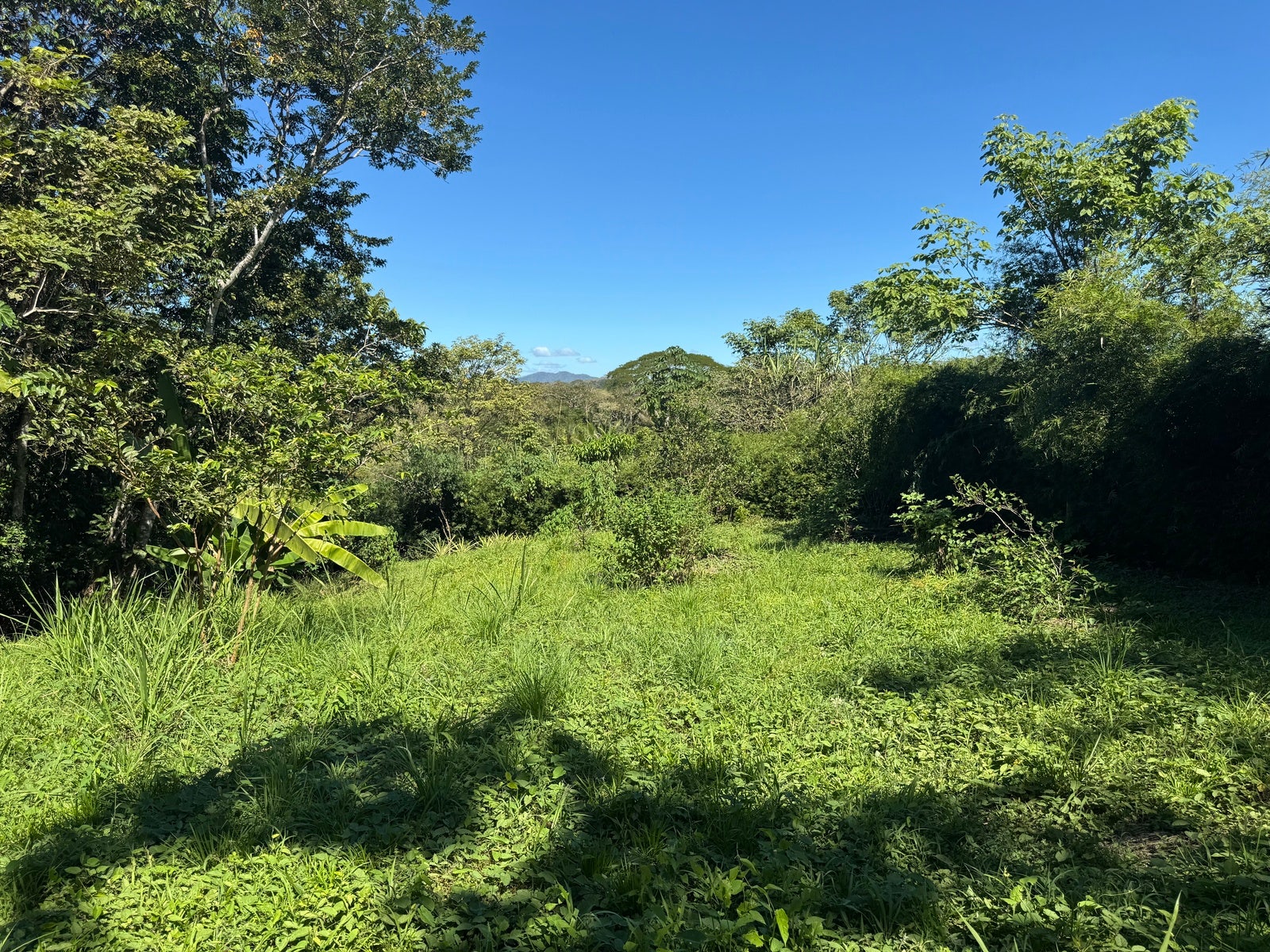 Mountain View Lot in La Palmita — photo 7 of 12