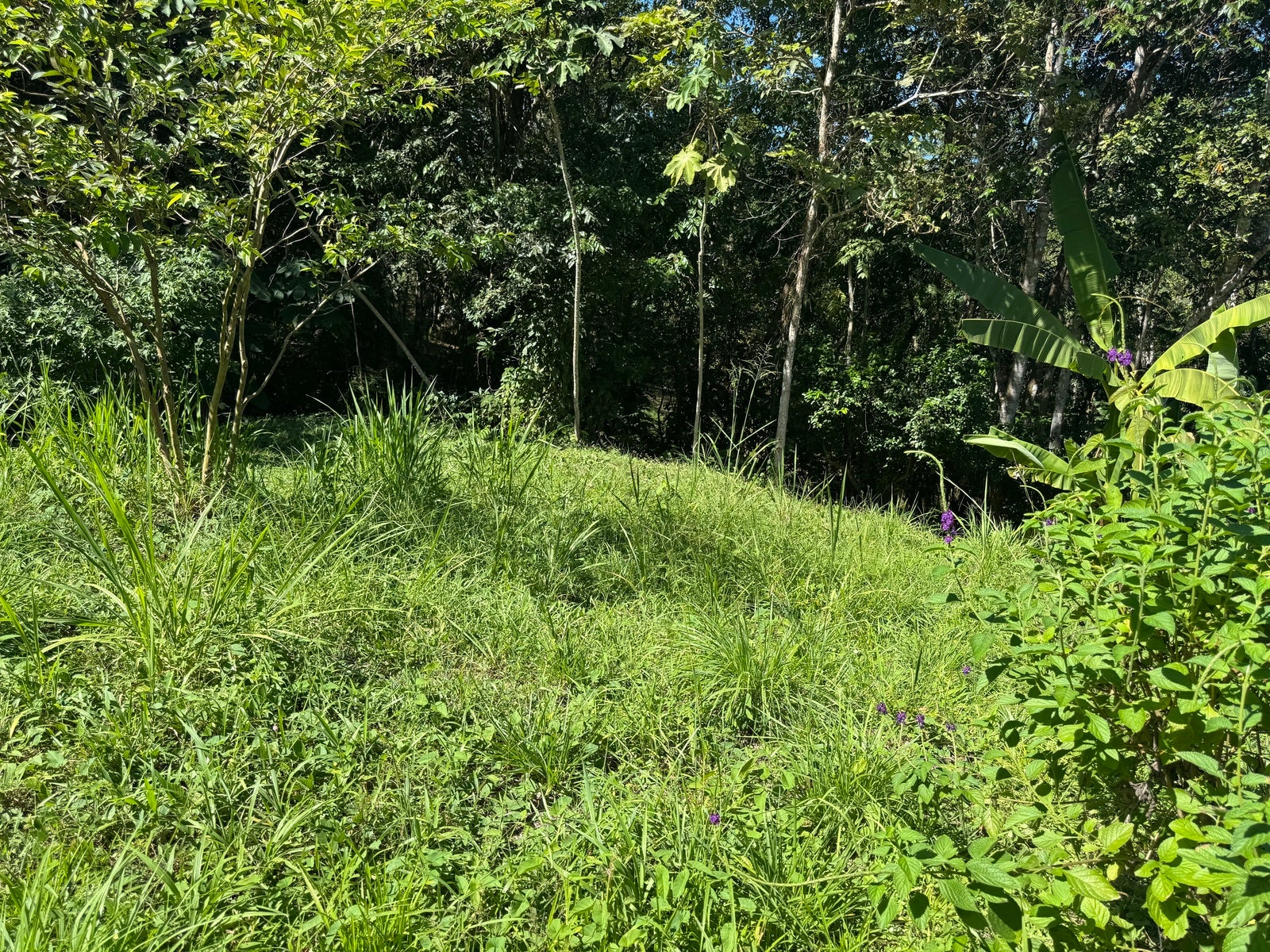 Mountain View Lot in La Palmita — photo 8 of 12