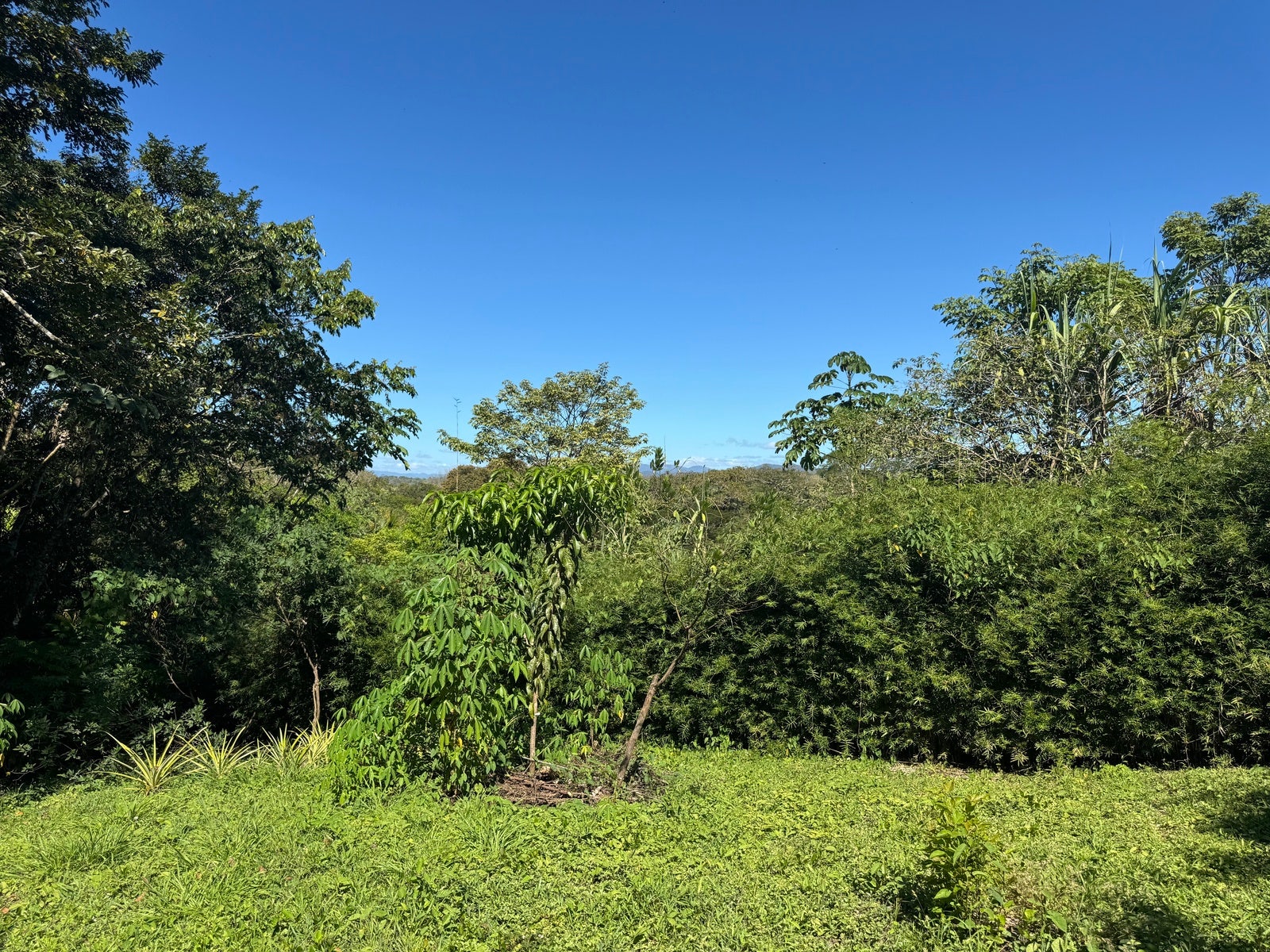 Mountain View Lot in La Palmita — photo 10 of 12