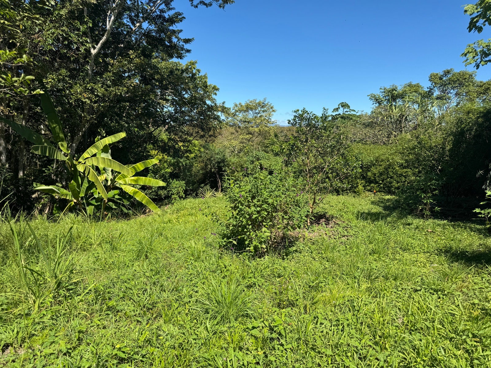 Mountain View Lot in La Palmita — photo 11 of 12