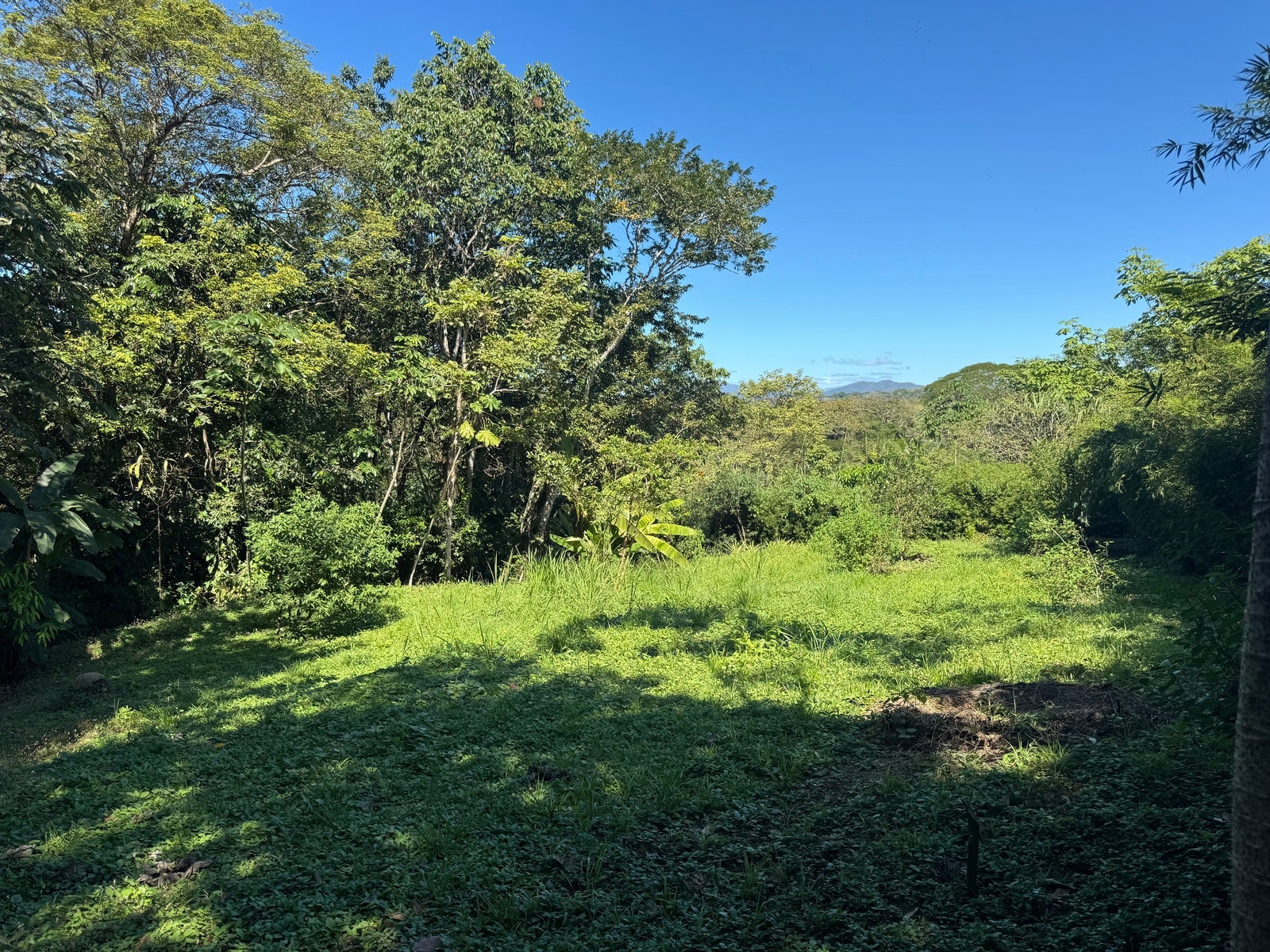 Mountain View Lot in La Palmita — photo 12 of 12