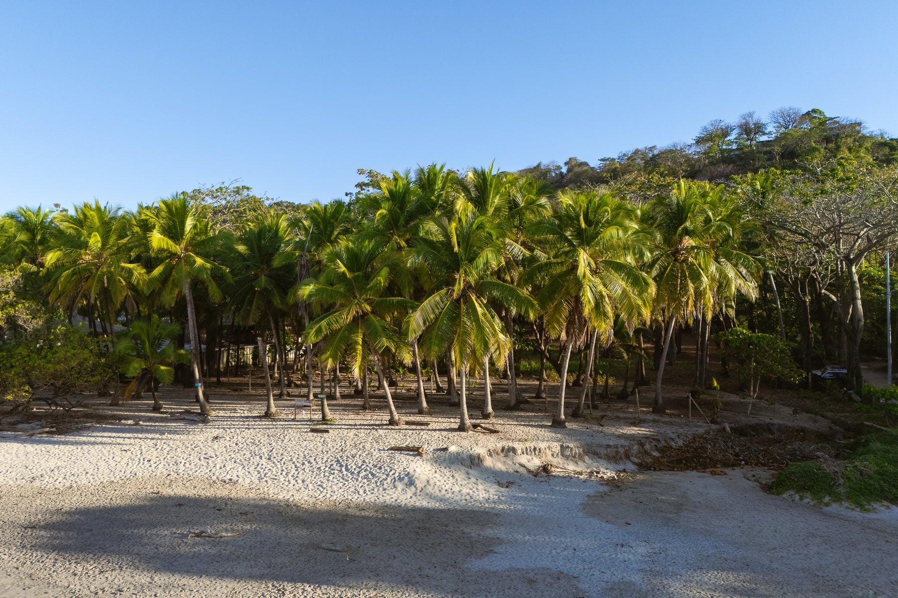Prime Beachfront Land — photo 2 of 19