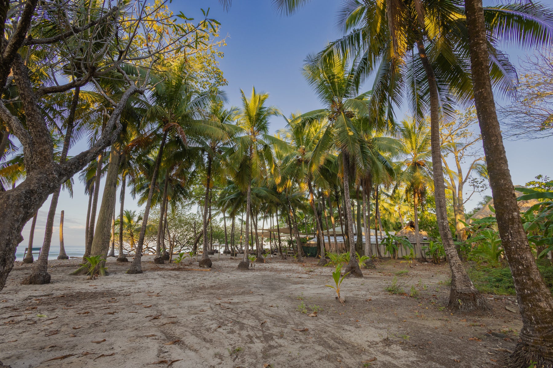 Prime Beachfront Land — photo 7 of 19
