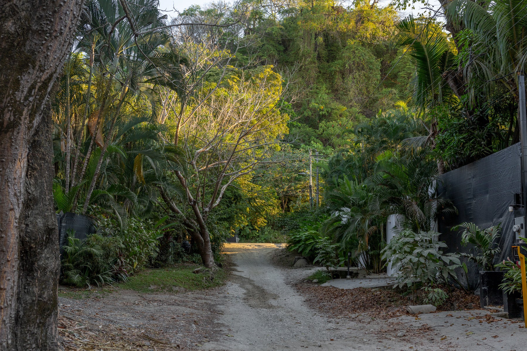 Prime Beachfront Land — photo 12 of 19