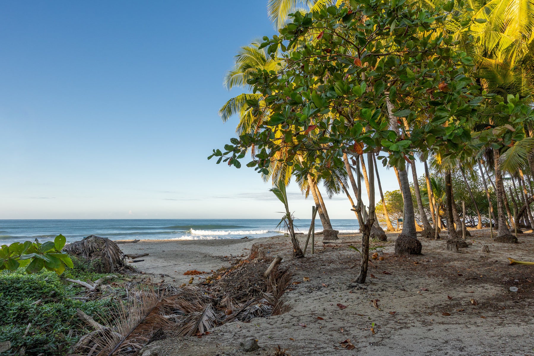 Prime Beachfront Land, Santa Teresa, Cobano, Puntarenas, Puntarenas, Costa Rica 60111