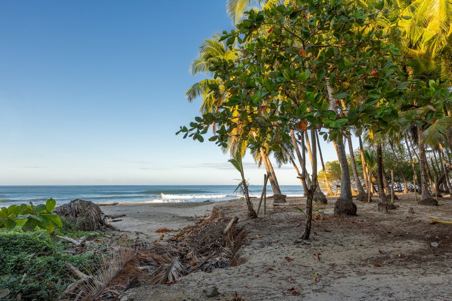 Property photo for Prime Beachfront Land, Santa Teresa, Cobano, Puntarenas, Puntarenas, Costa Rica