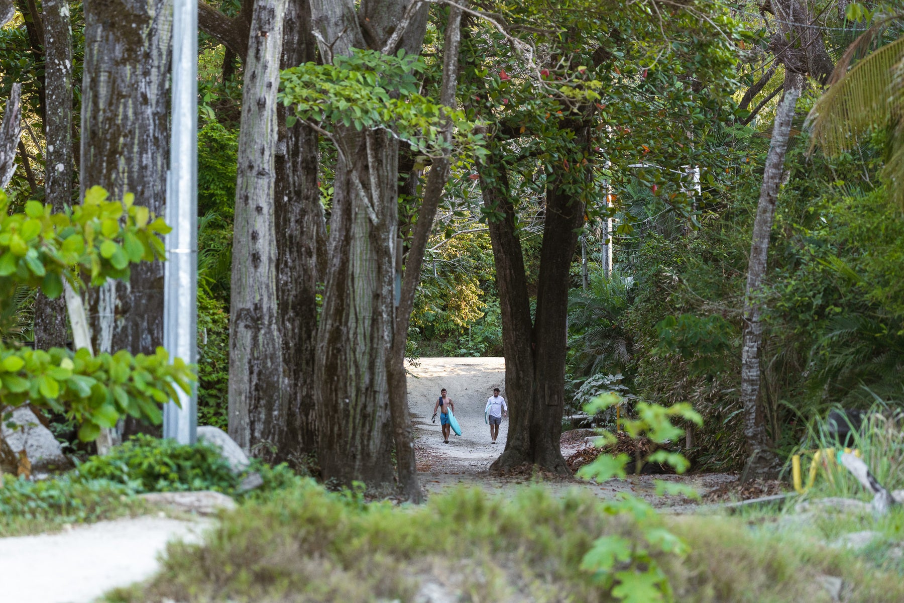 Prime Beachfront Land — photo 14 of 19
