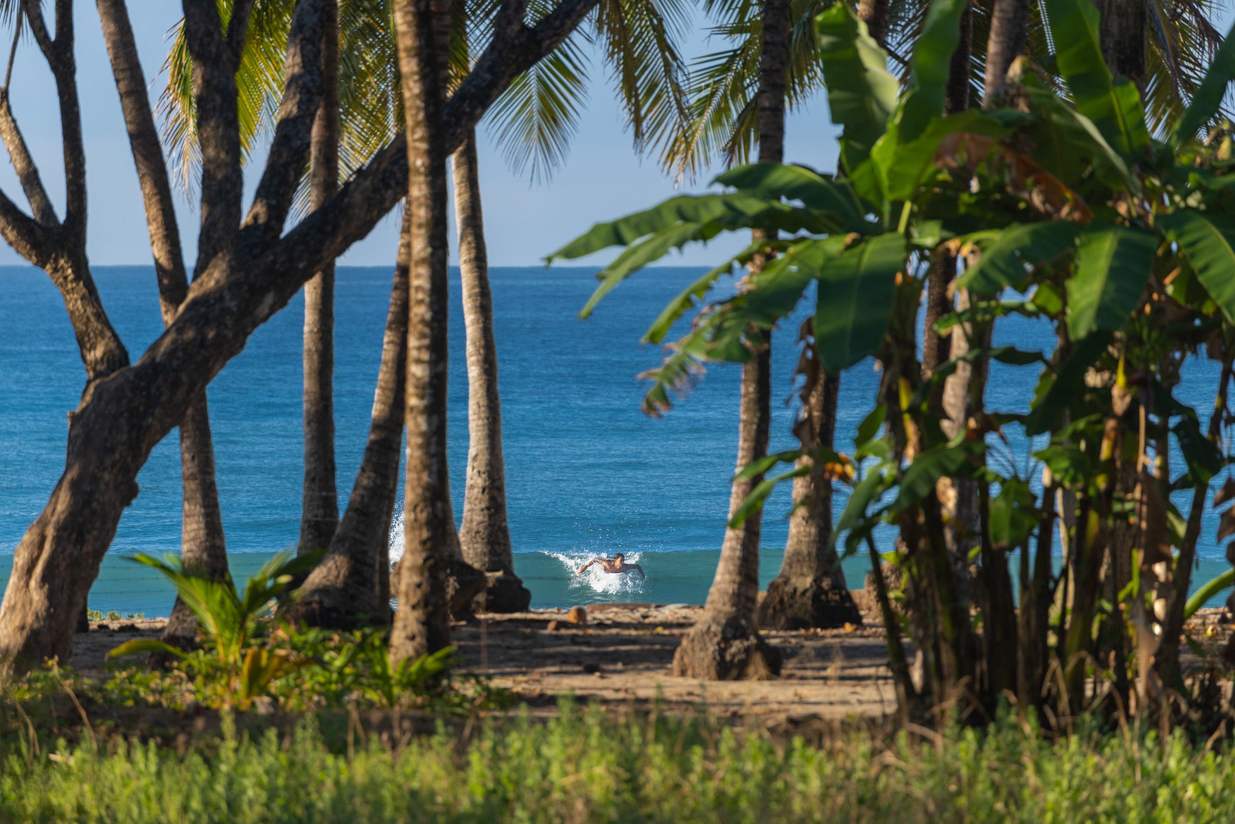 Prime Beachfront Land — photo 3 of 19