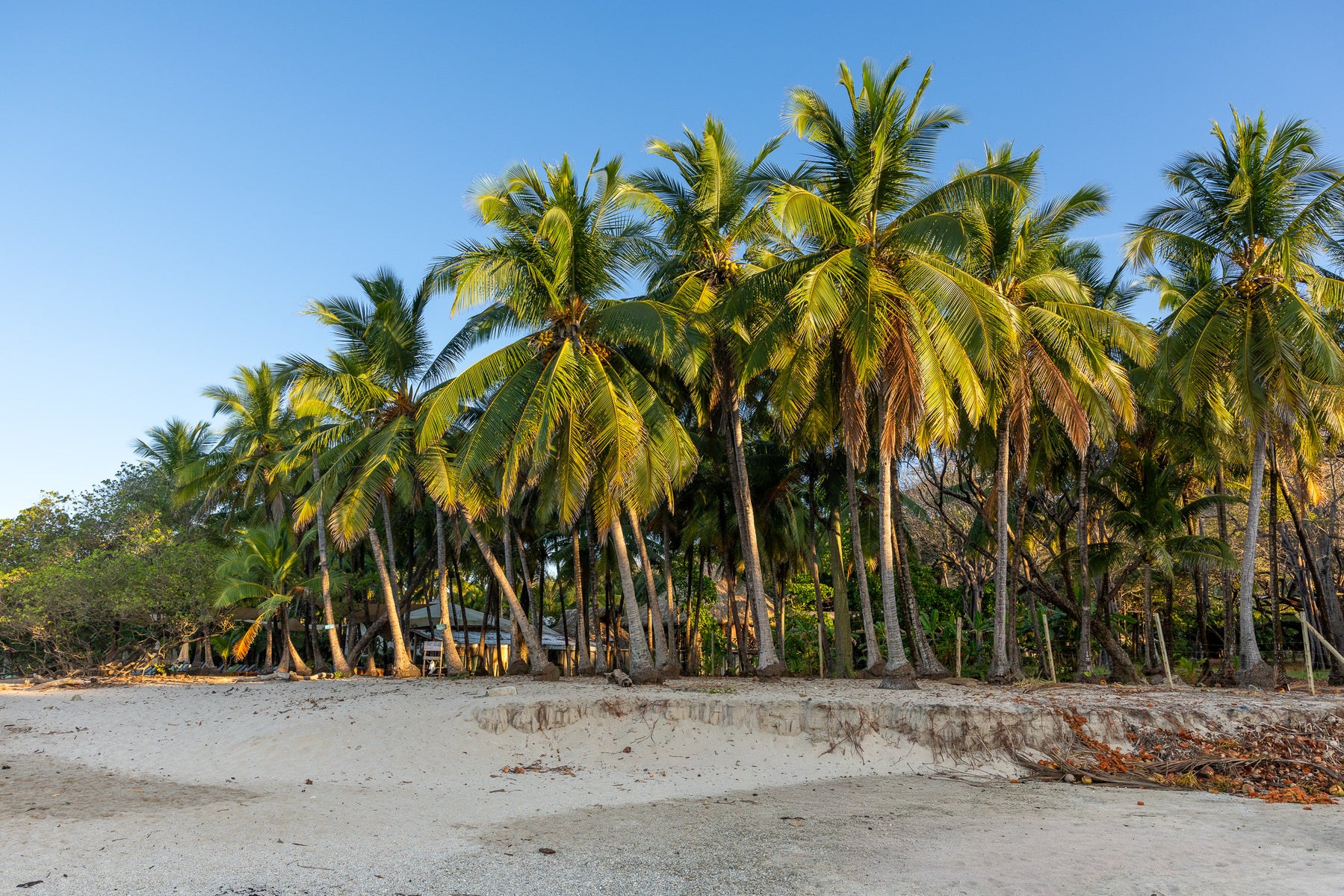 Prime Beachfront Land — photo 15 of 19