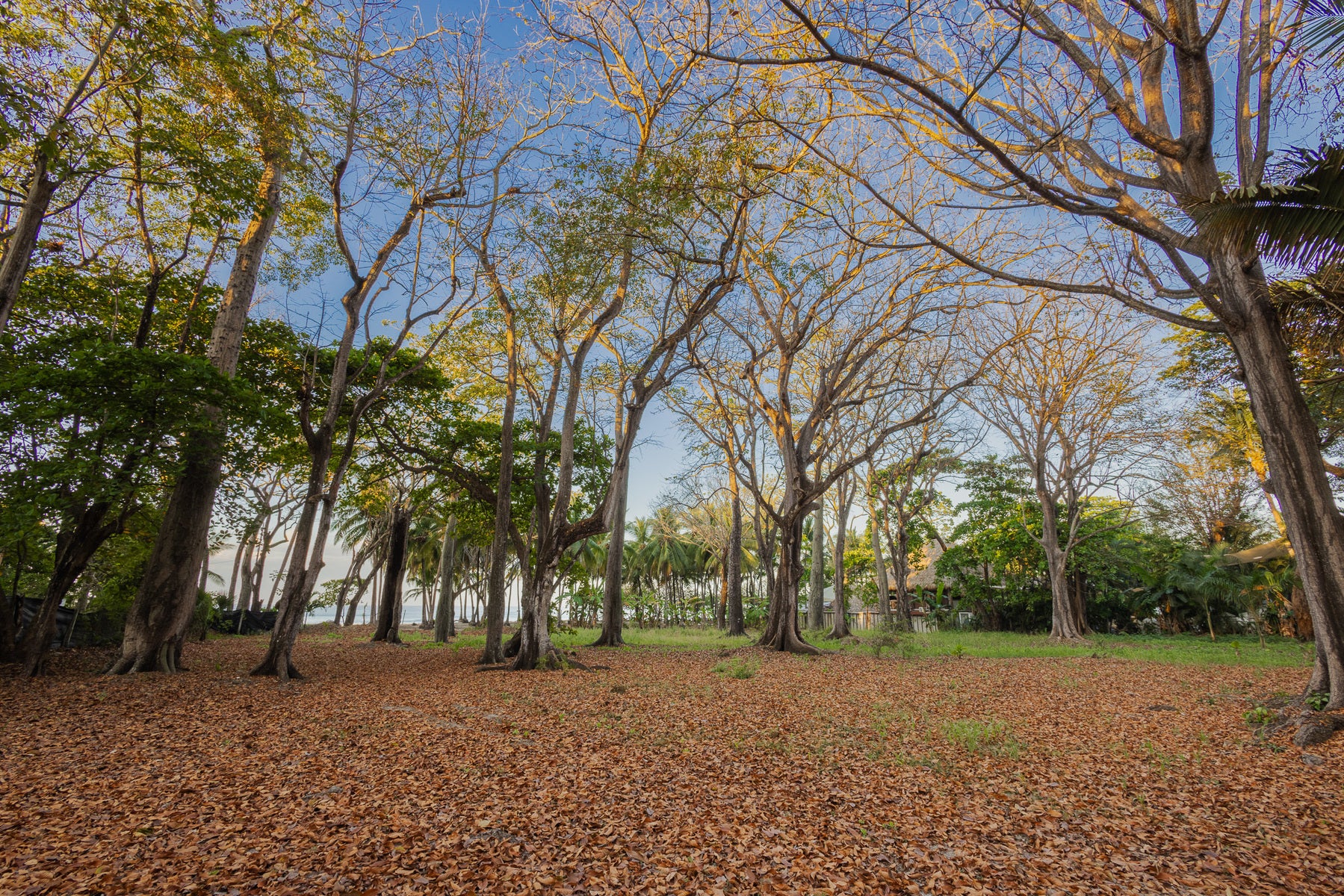 Prime Beachfront Land — photo 18 of 19