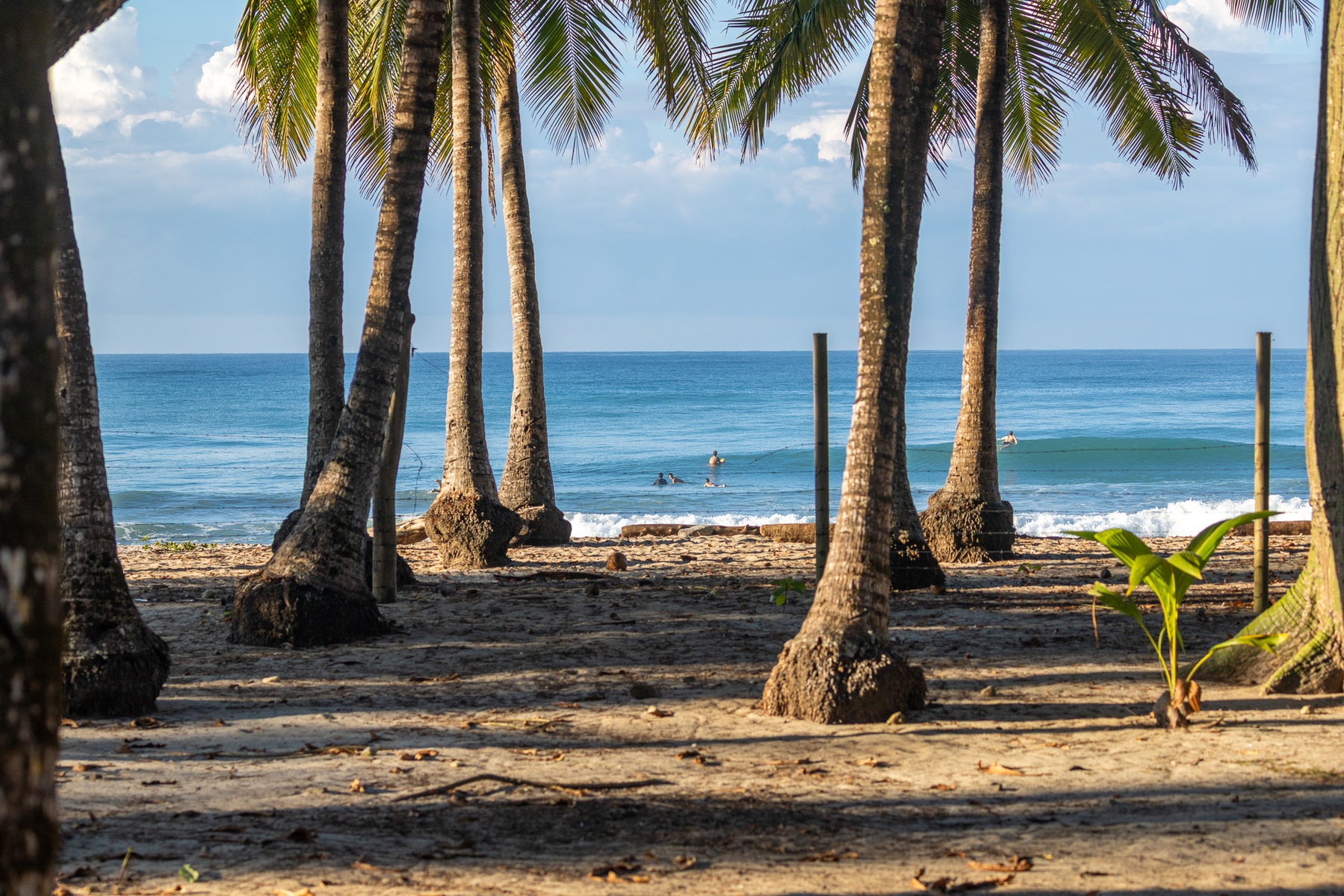 Prime Beachfront Land — photo 17 of 19