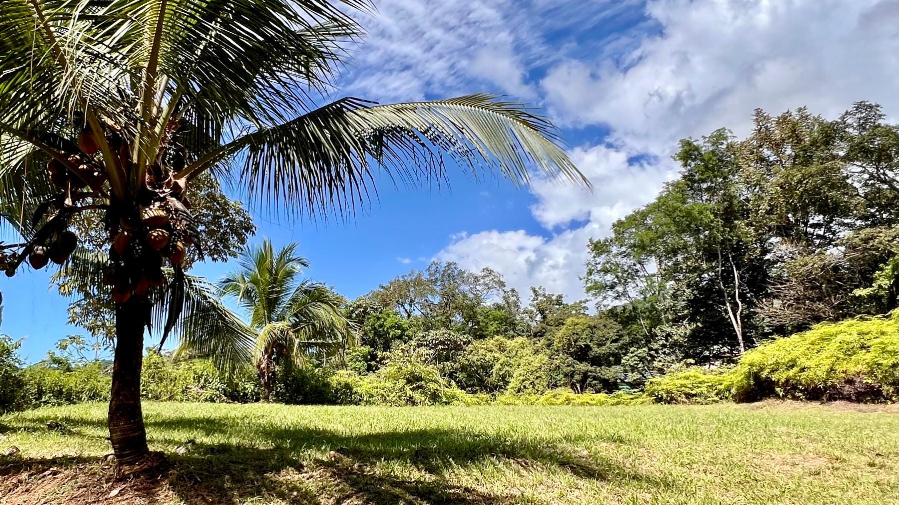 Exceptional Large Estate Lot, Tres Rios, Ojochal, Bahia Ballena, Osa, Puntarenas, Costa Rica 60501, Tres Rios